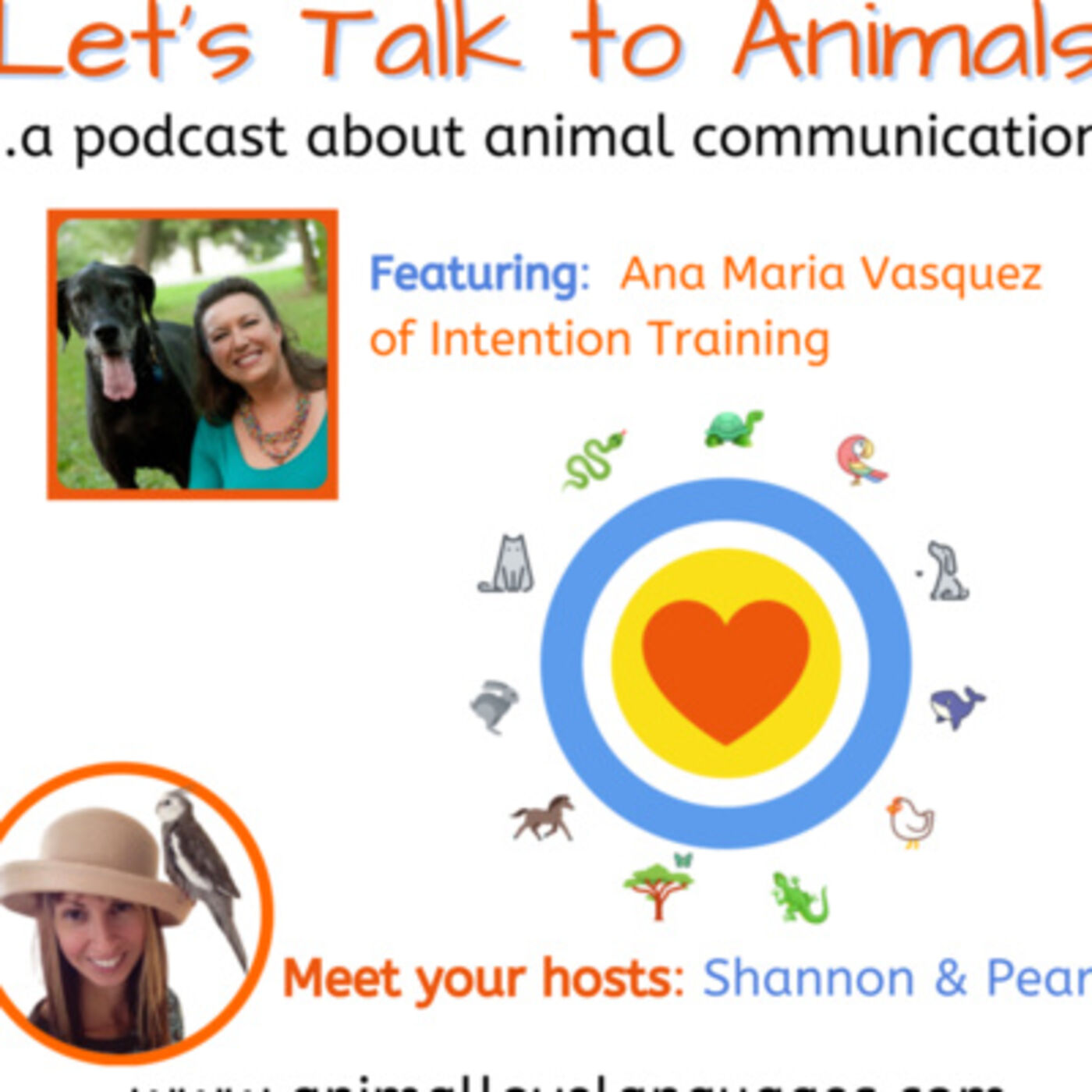 Let\'s Talk to Animals