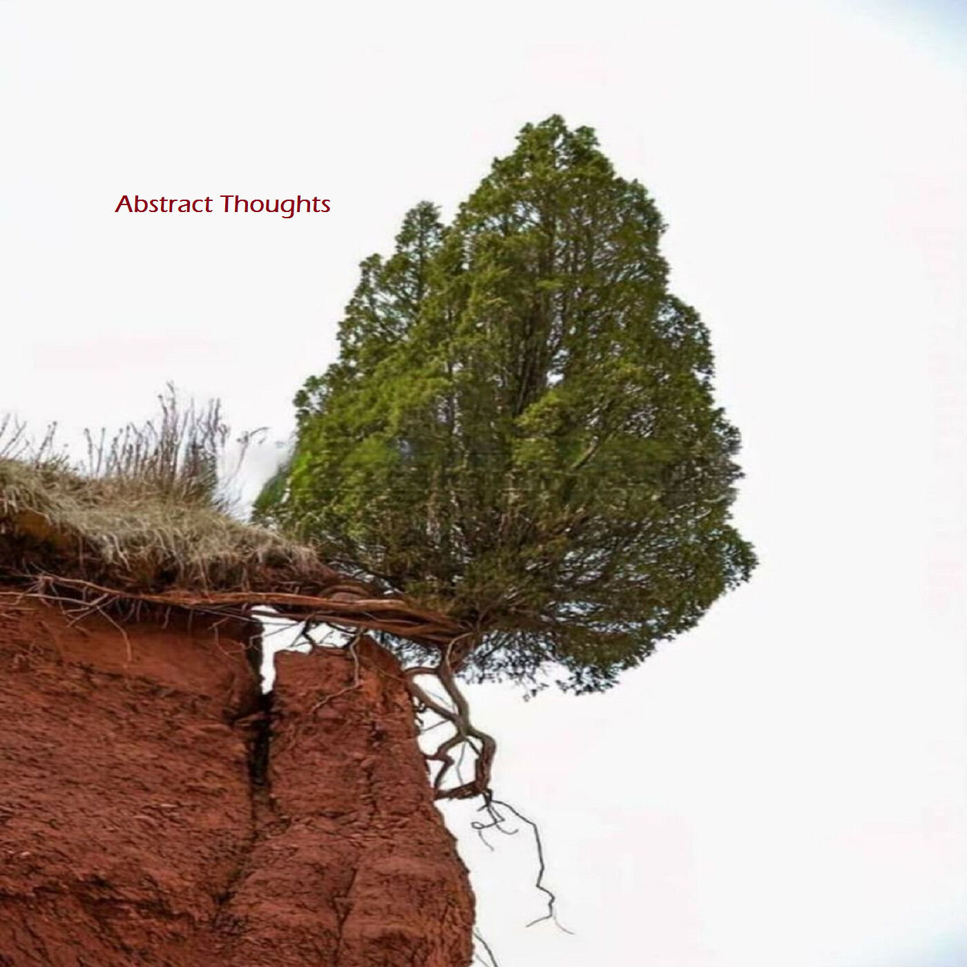 Abstract Thoughts