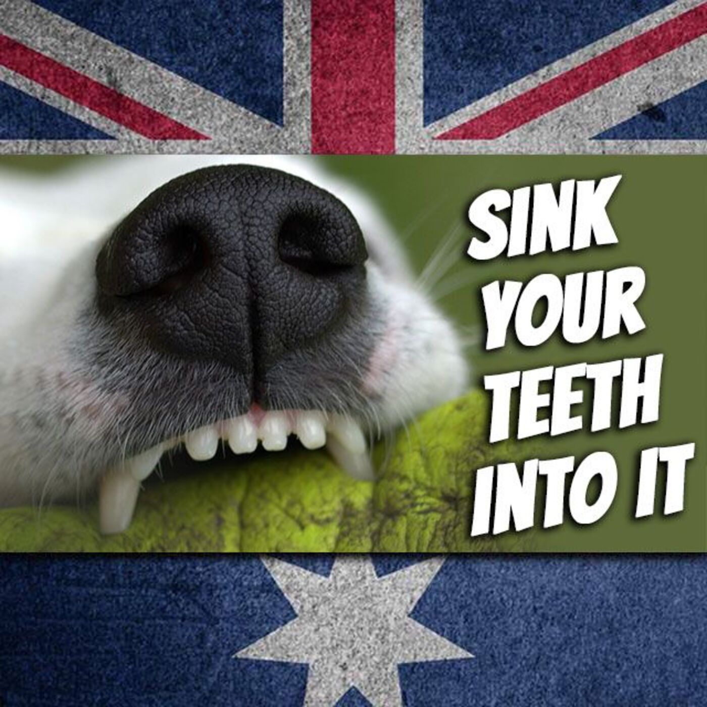 AE 467 - Expression: Sink Your Teeth into It