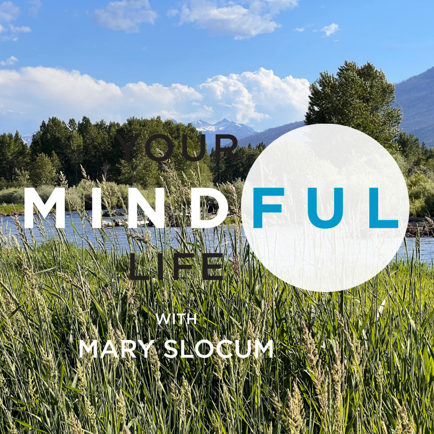 Your Mindful Life