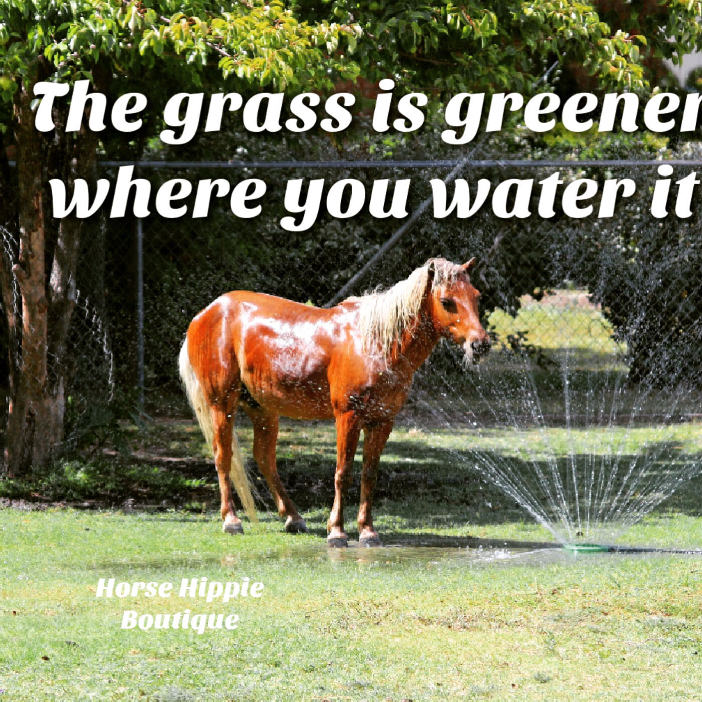 Greener Grass
