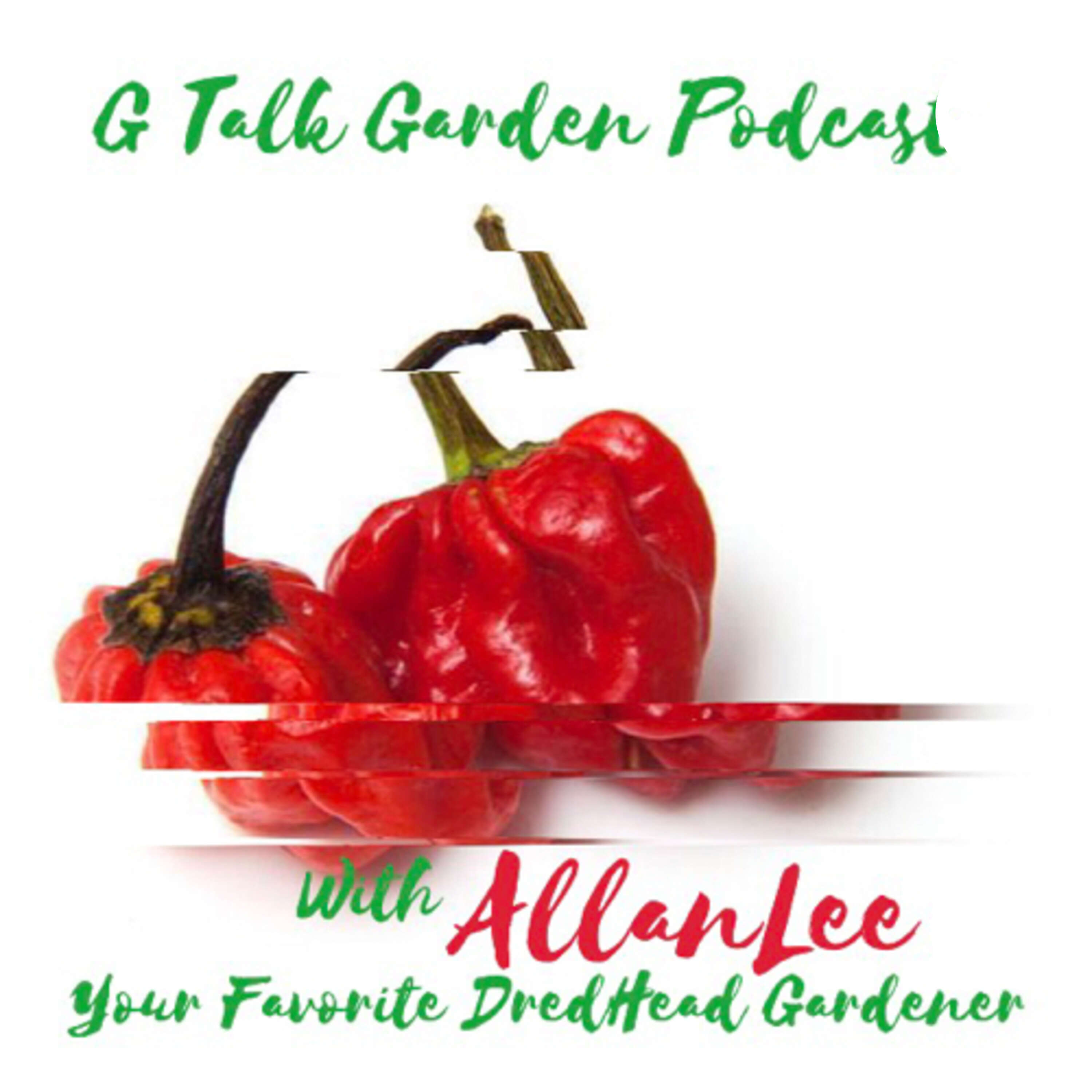 G Talk Garden Podcast