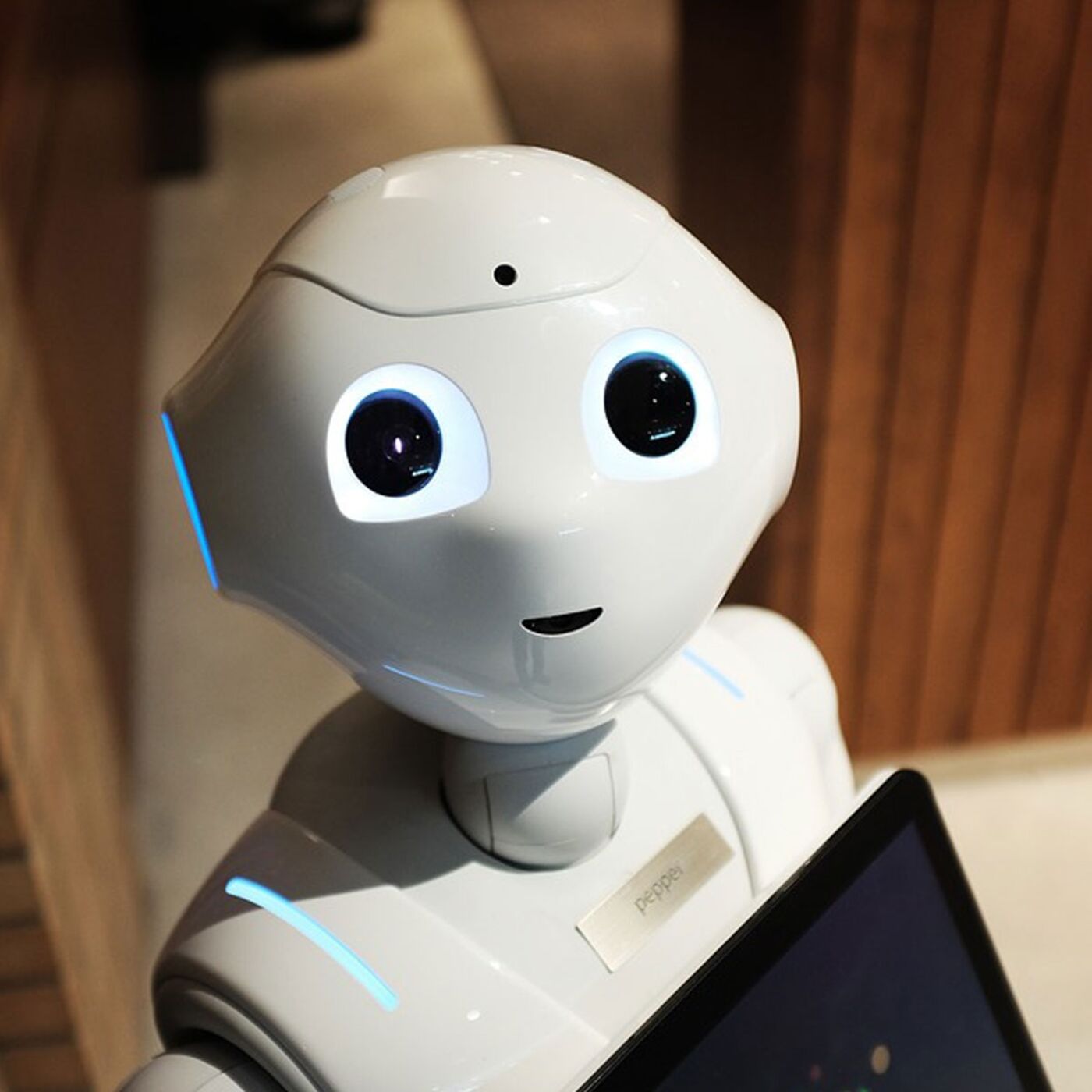 Making Information Personal: Companions