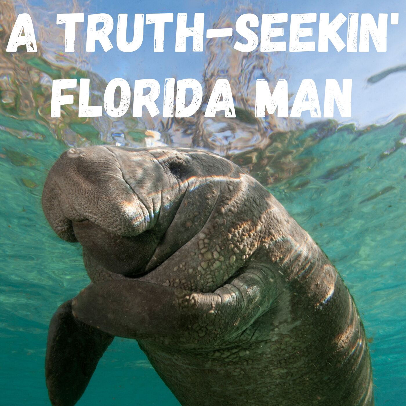 Trailer - A Truth-Seekin' Florida Man