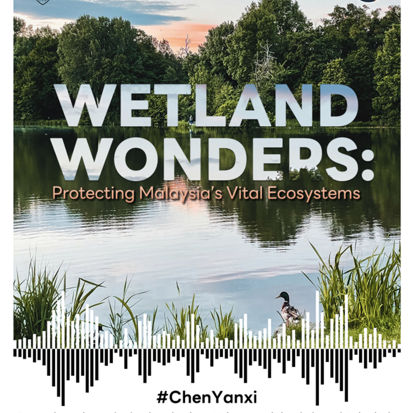 Wetland Wonders: Protecting Malaysia's Vital Ecosystems