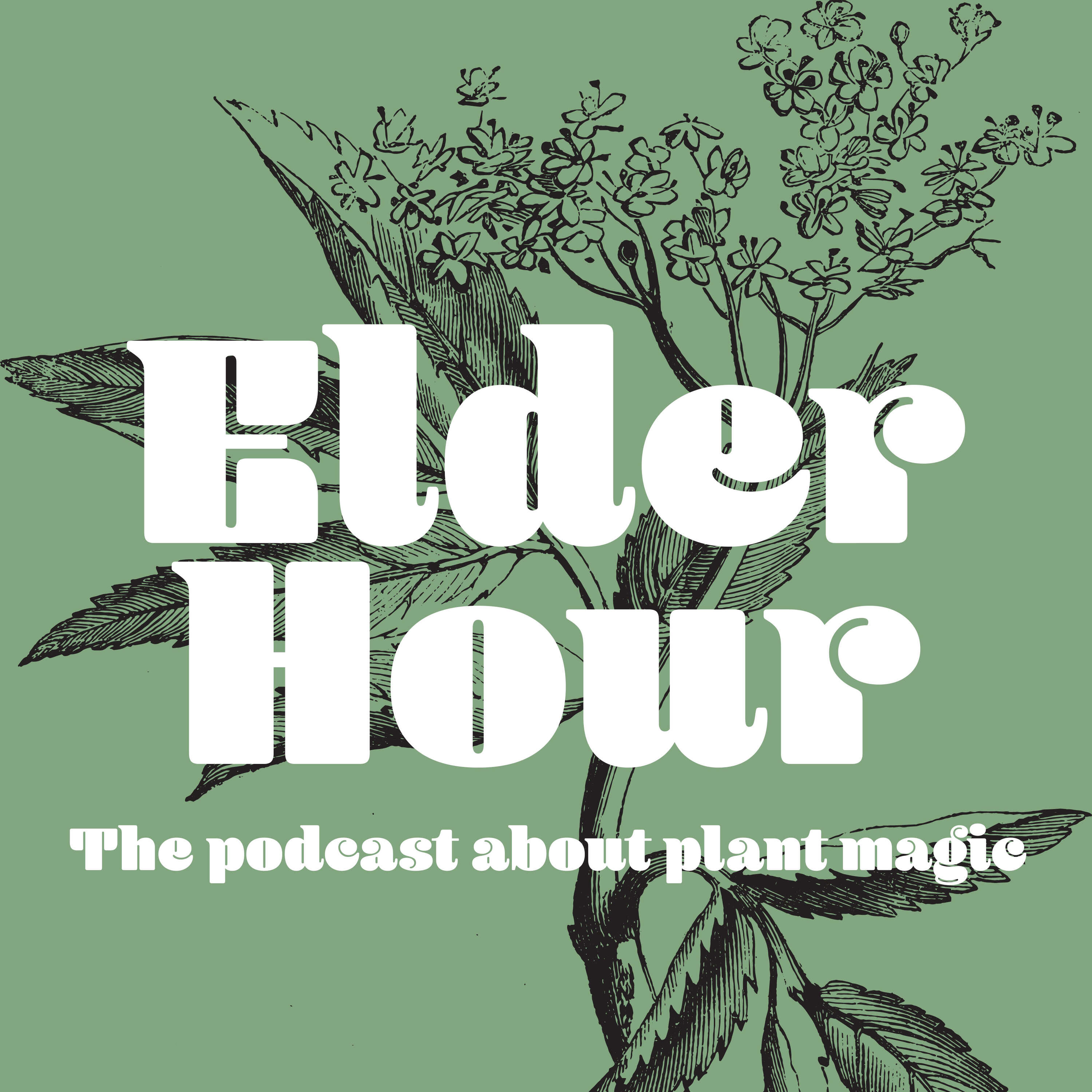 Elder Hour podcast