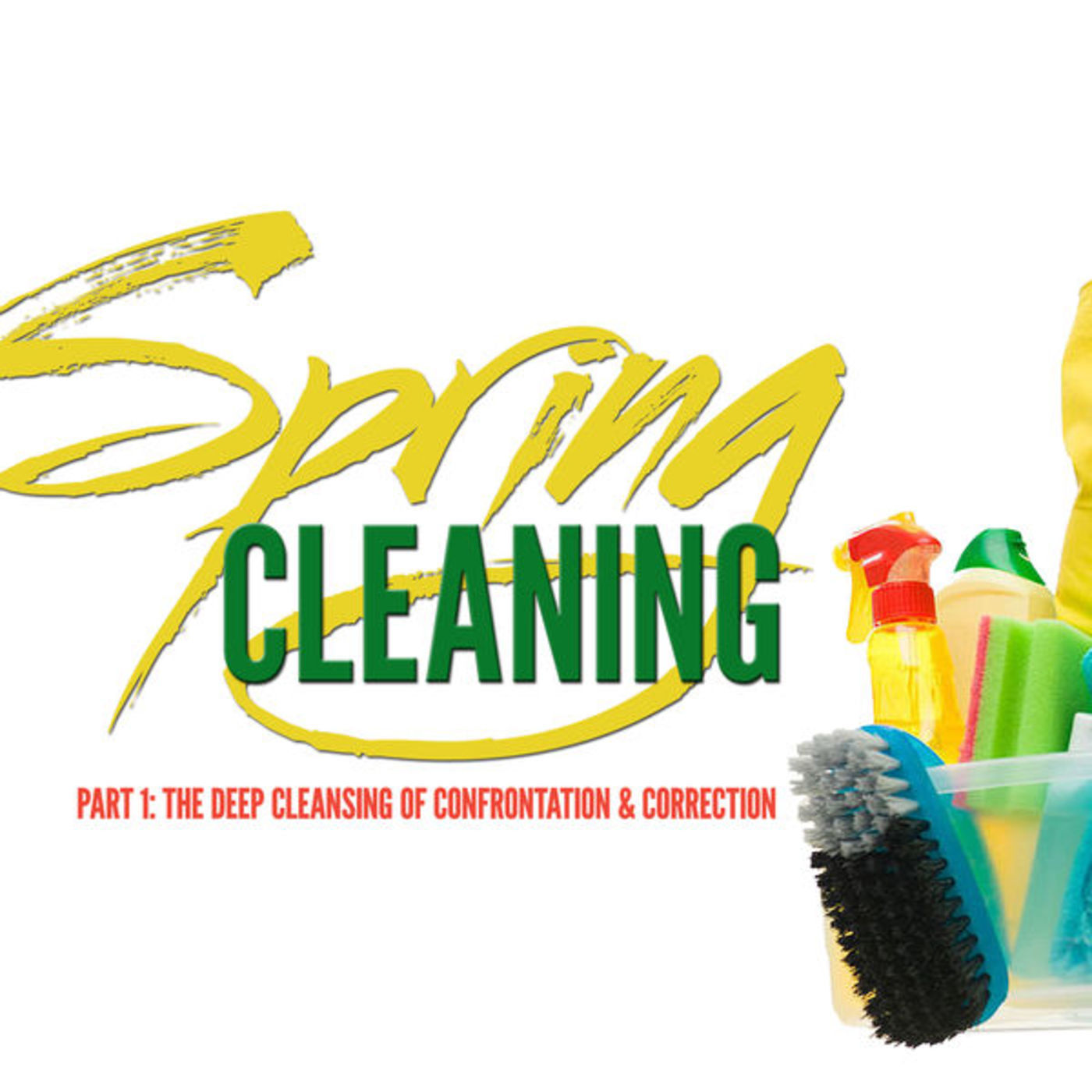 Spring Cleaning- Part 1: The Deep Cleansing