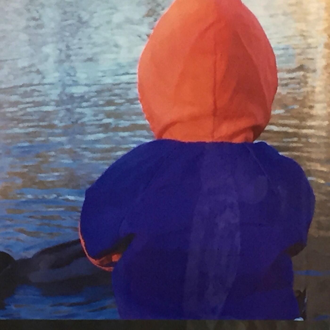 The Letters to My Son: Facing the Death of My Child from a Drug Overdose. cover