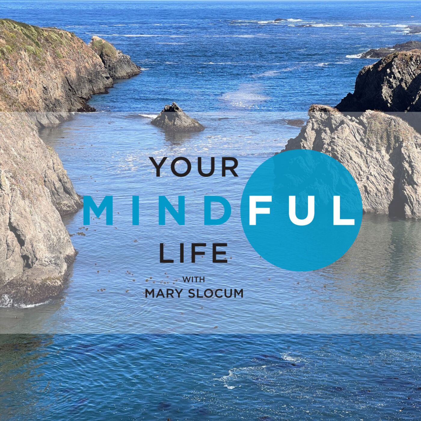 Your Mindful Life