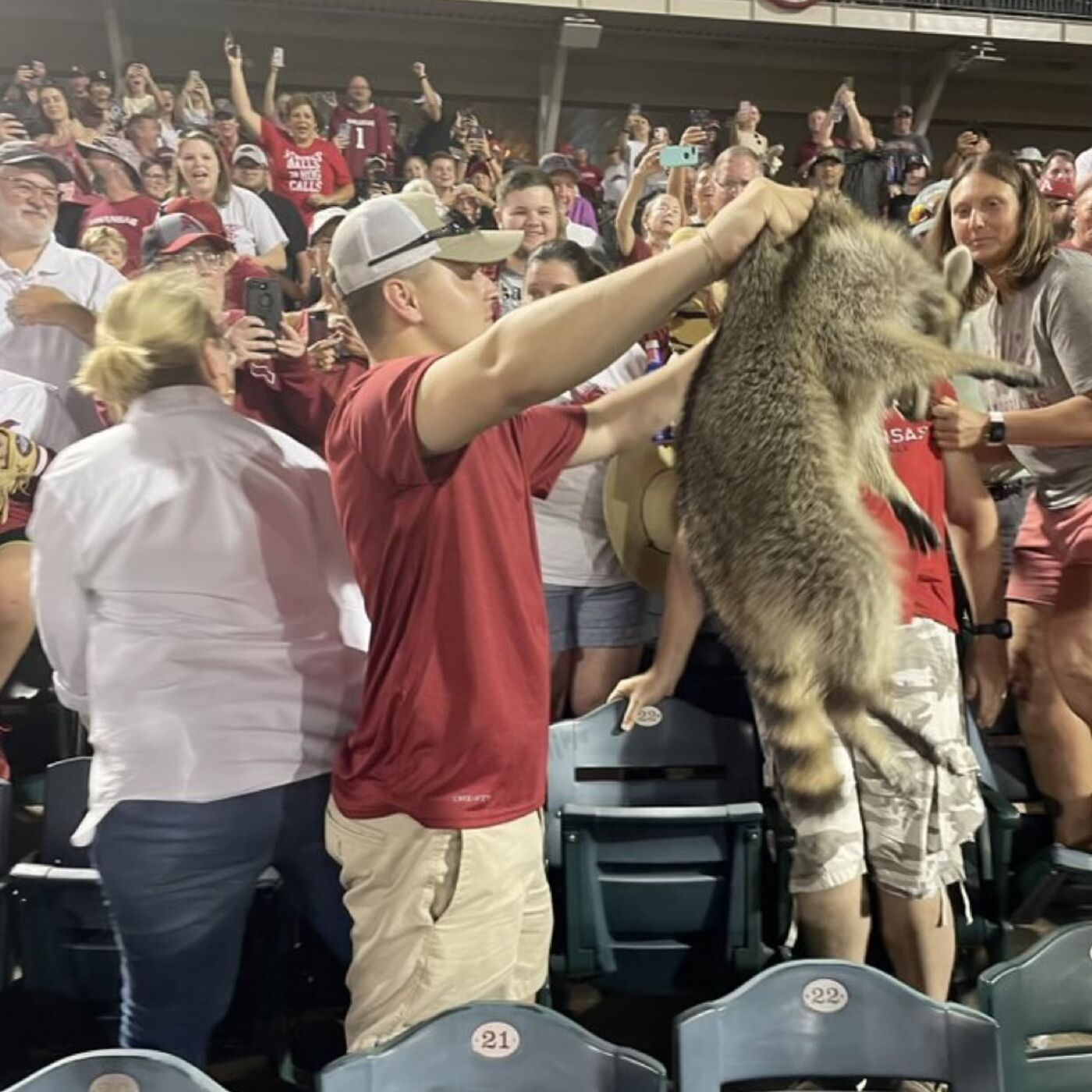 JD TALKIN SPORTS #1025