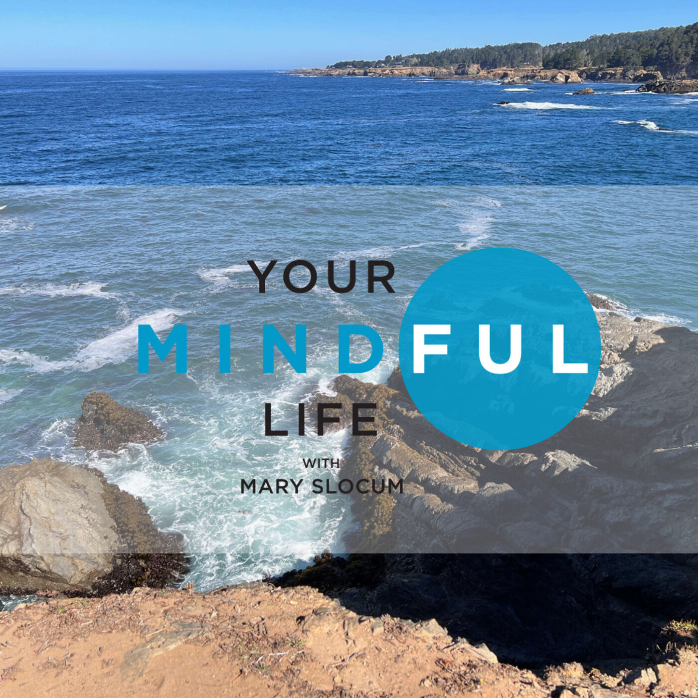 Your Mindful Life