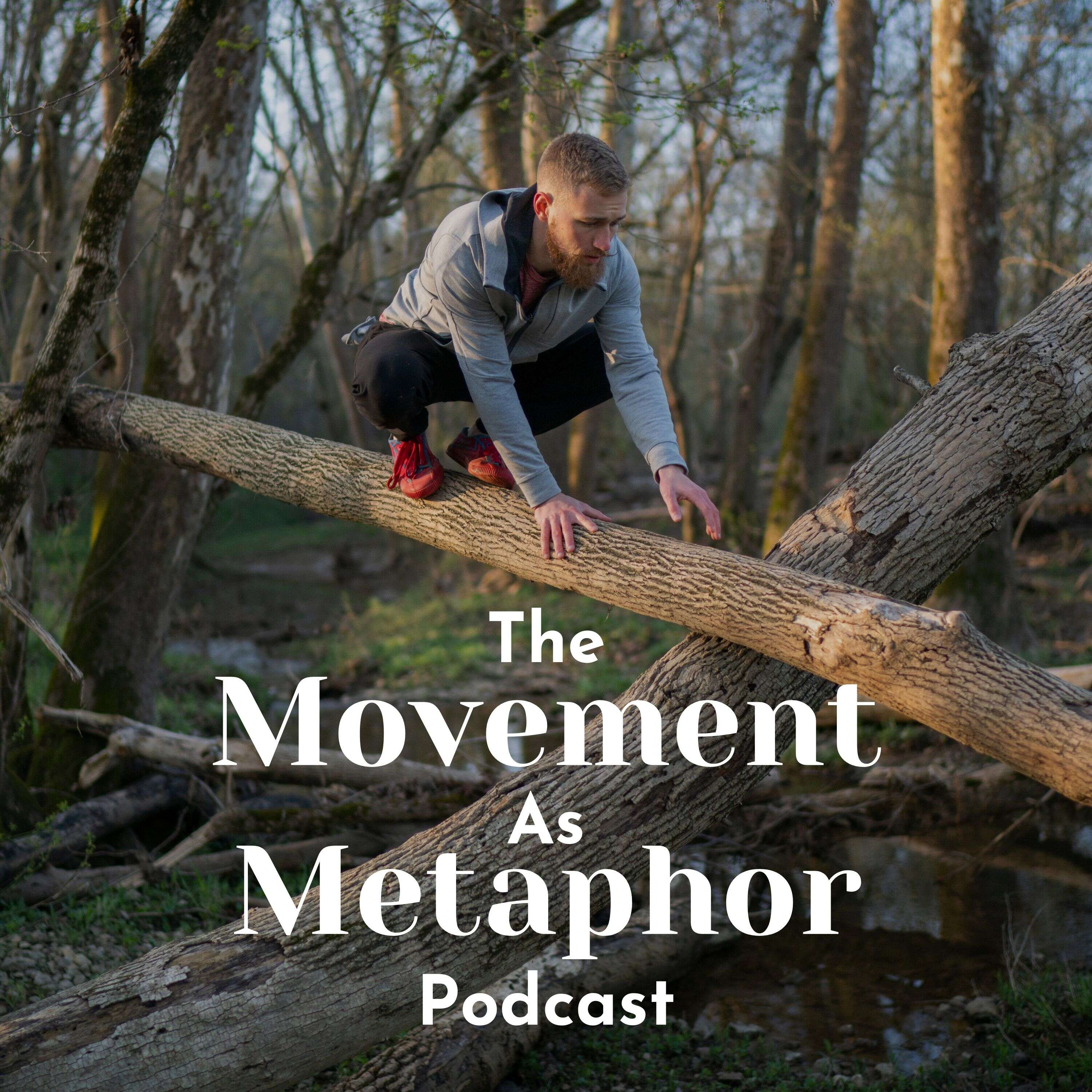 Movement As Metaphor