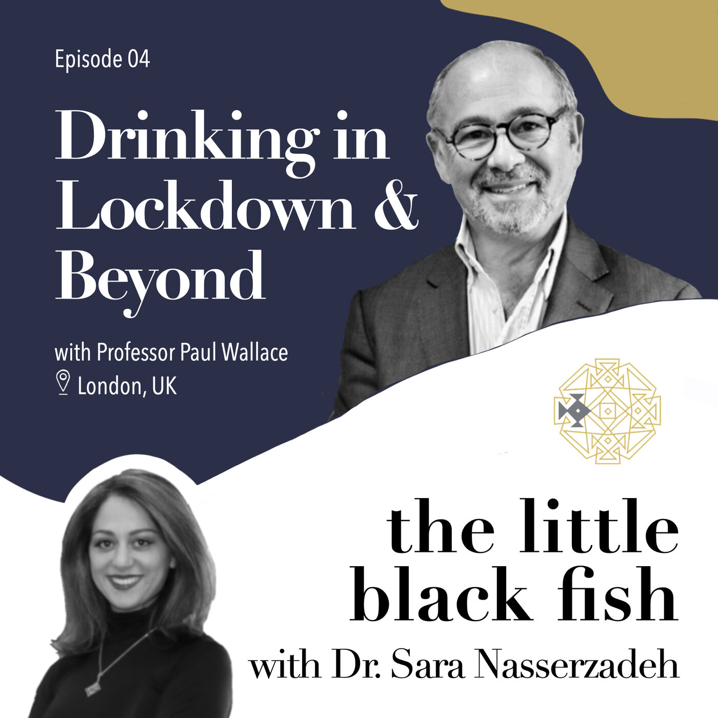 the little black fish