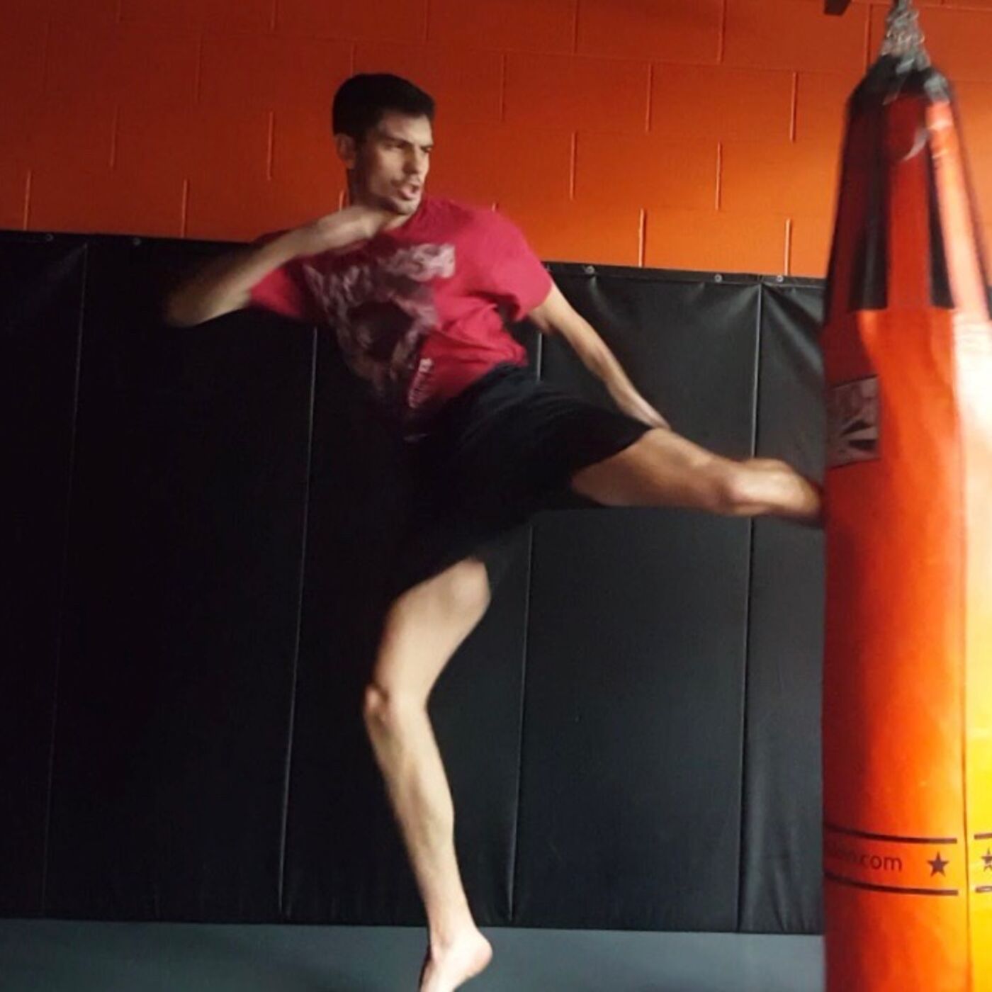 The Triskelion - The PURICA Podcast