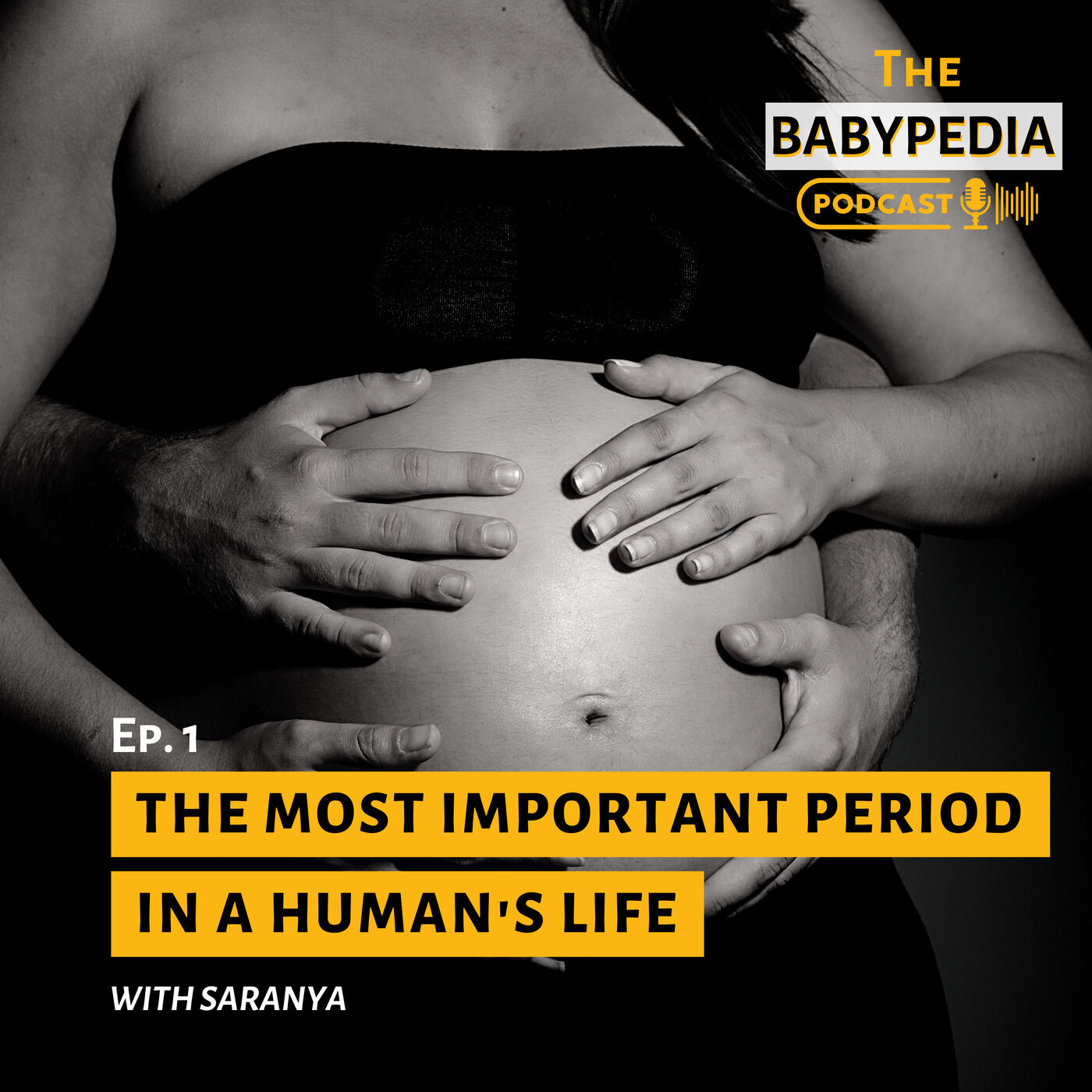 The BABYPEDIA Podcast