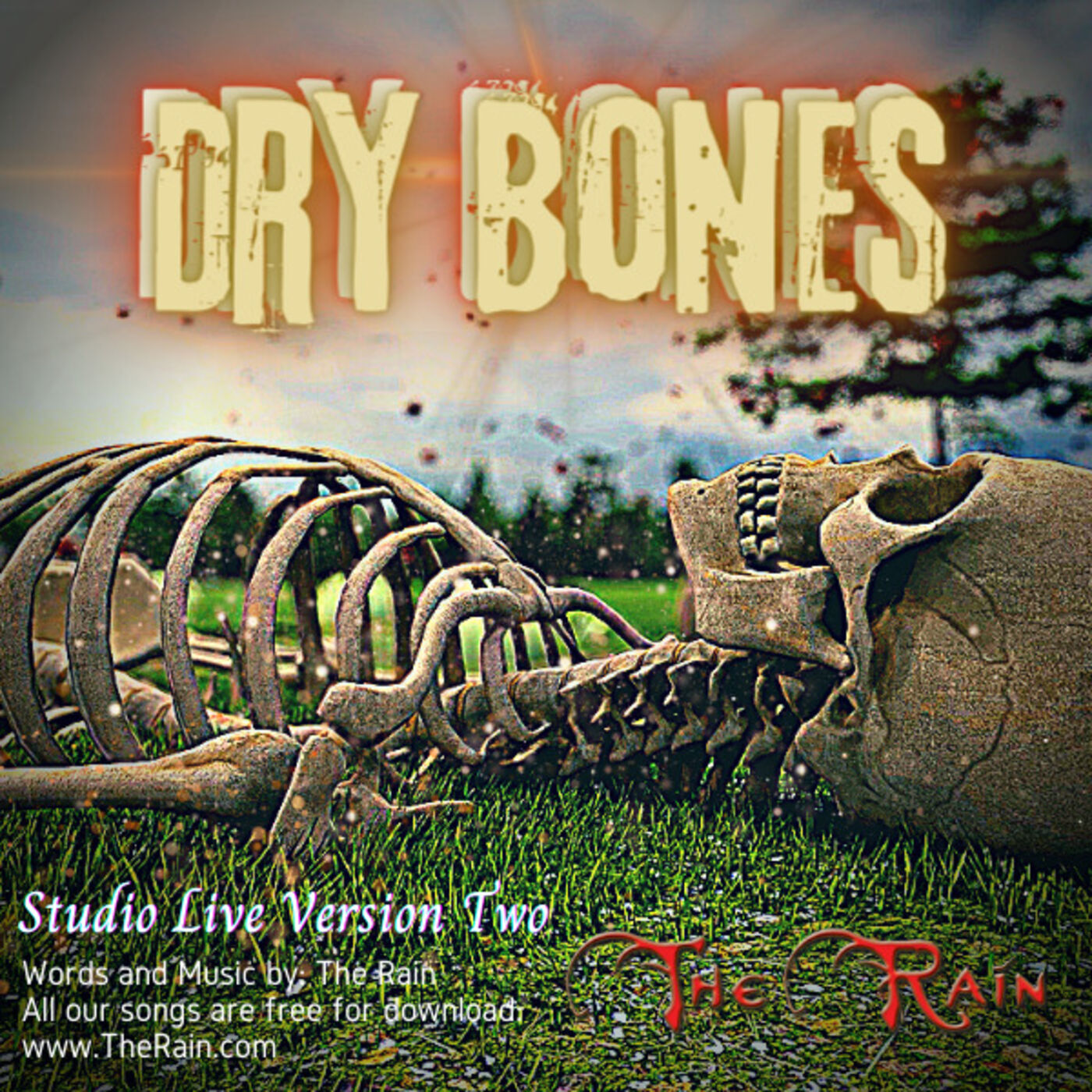 Dry Bones - Studio Solo 2