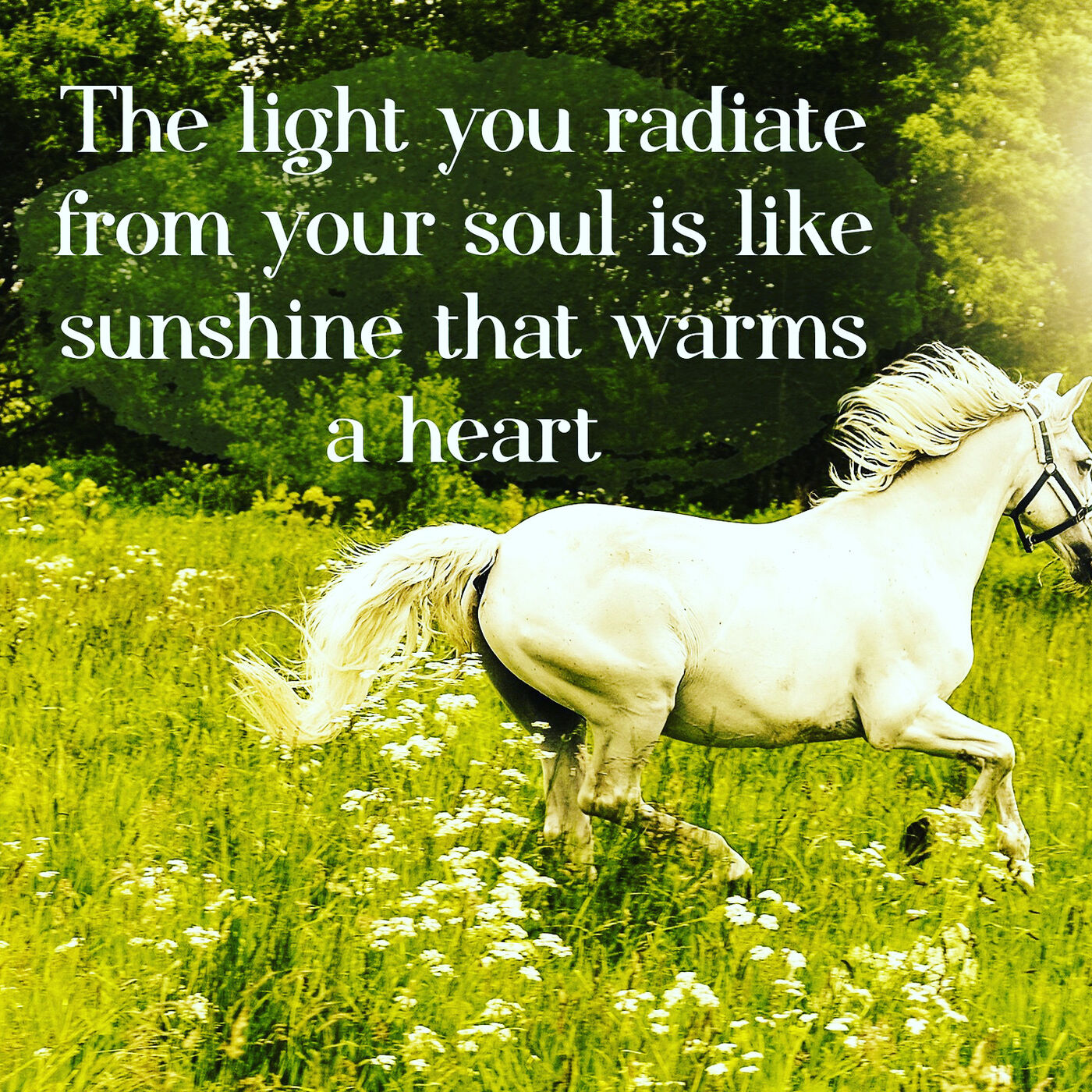 The Light From Your Soul