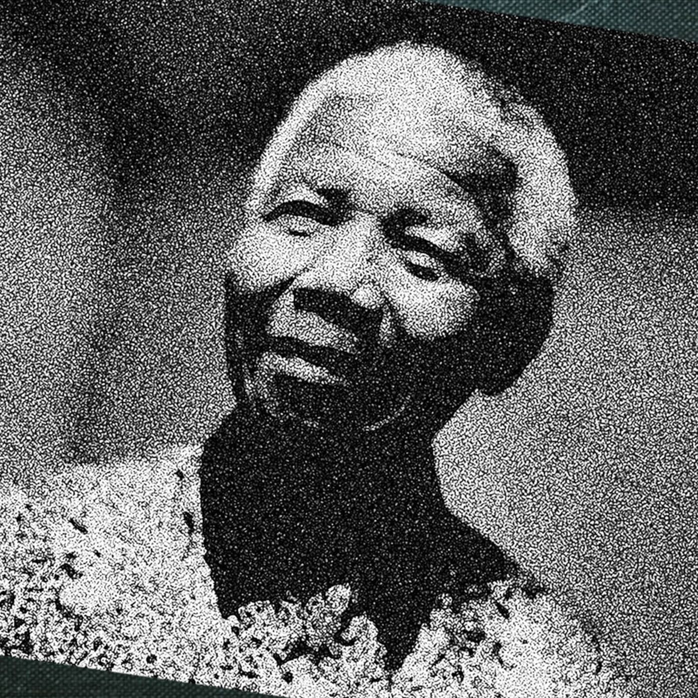 The Political Lawyer