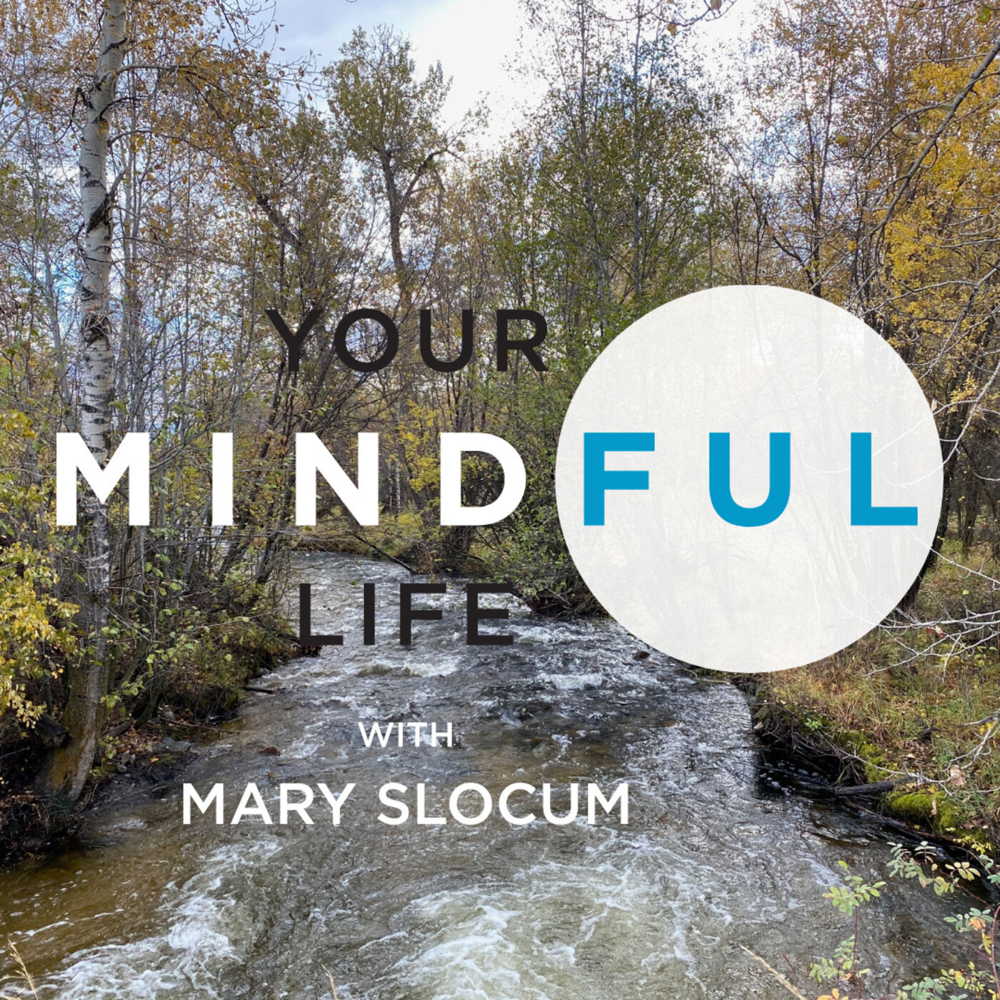 Your Mindful Life