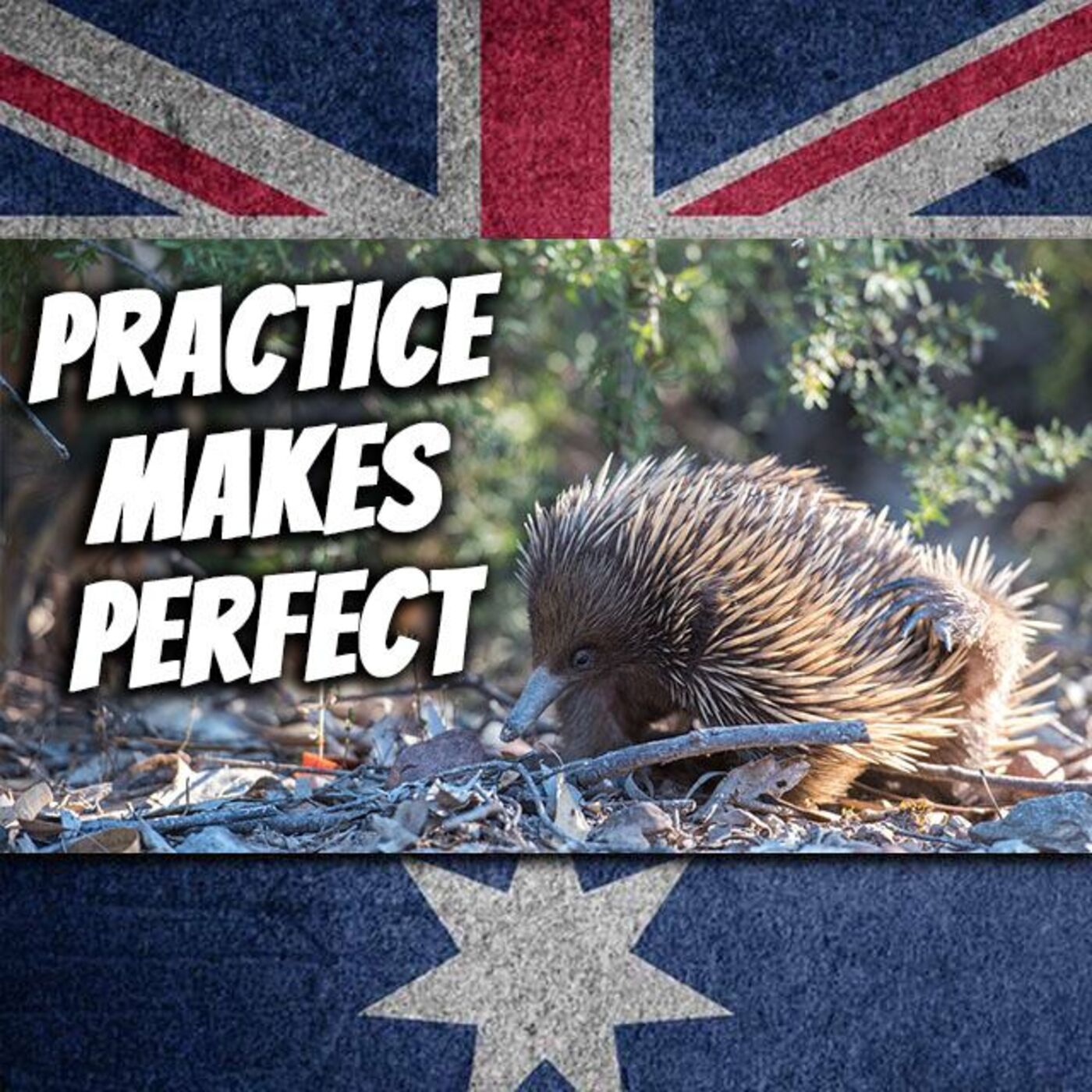 AE 468 - WWP: Practice Makes Perfect