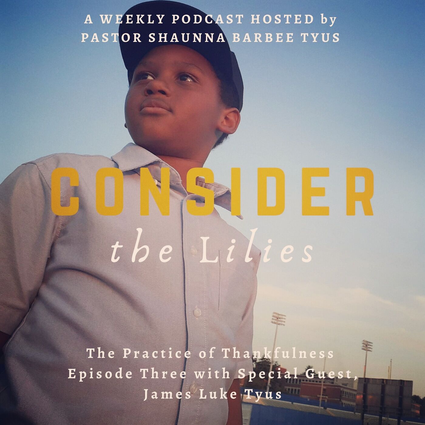 Consider the Lilies