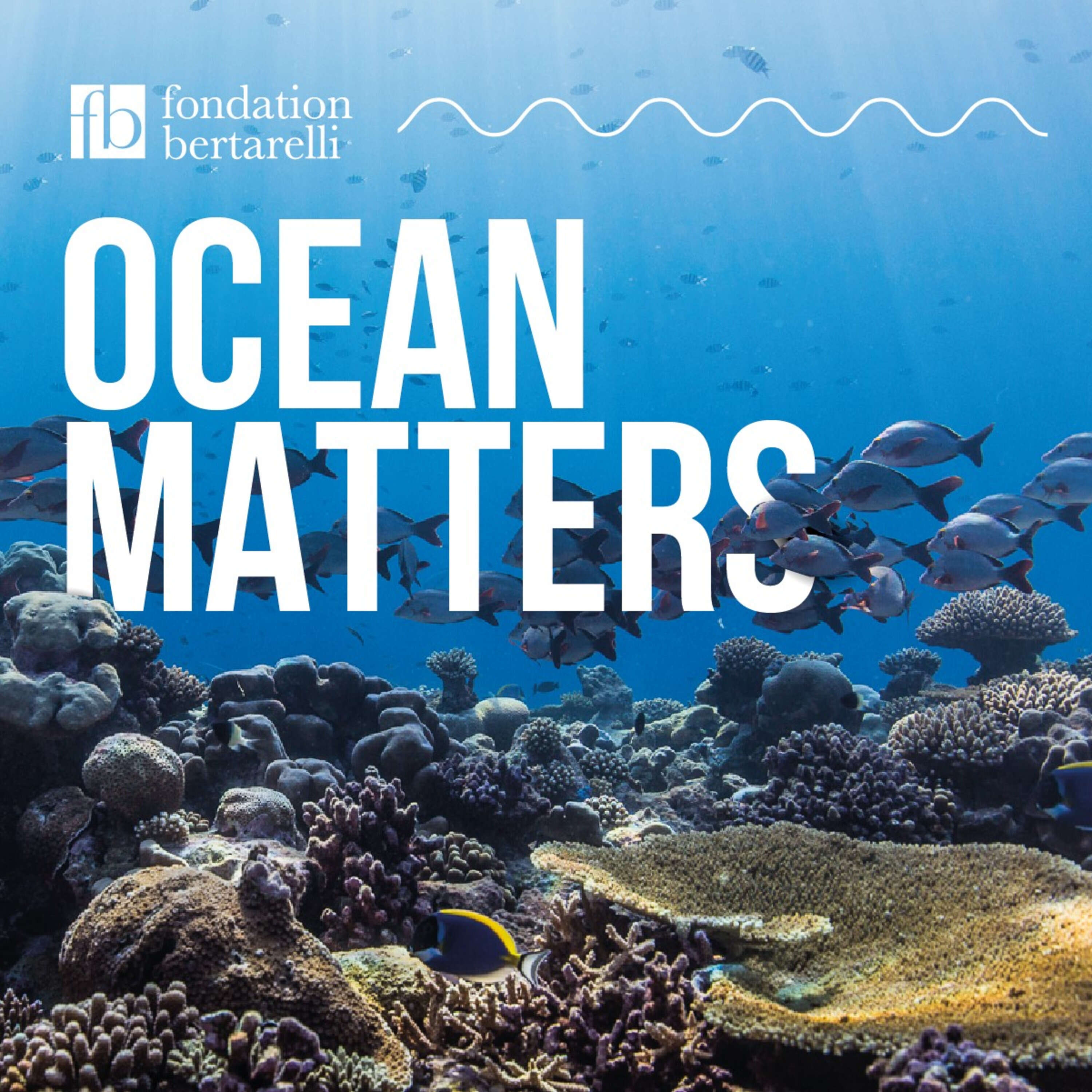 Ocean Matters cover art