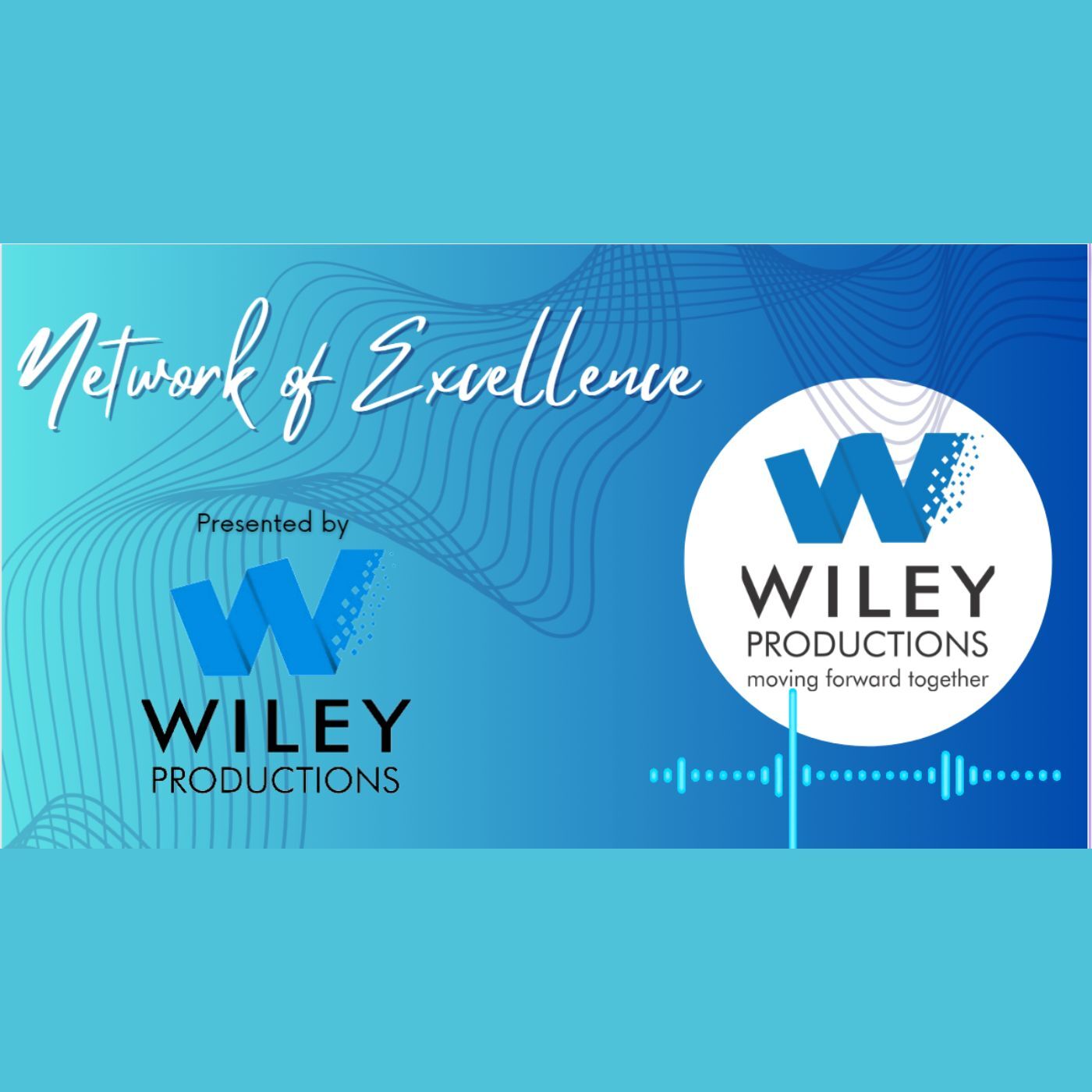 Wiley Productions' Network of Excellence
