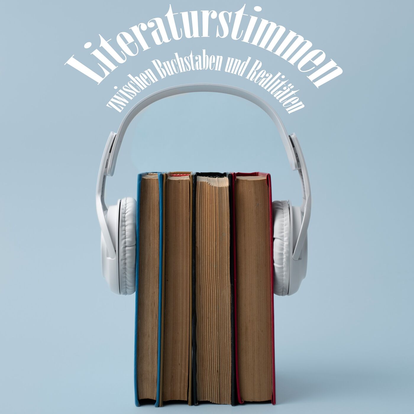 Literaturstimmen  – Zwischen Buchstaben und Realitäten podcast artwork