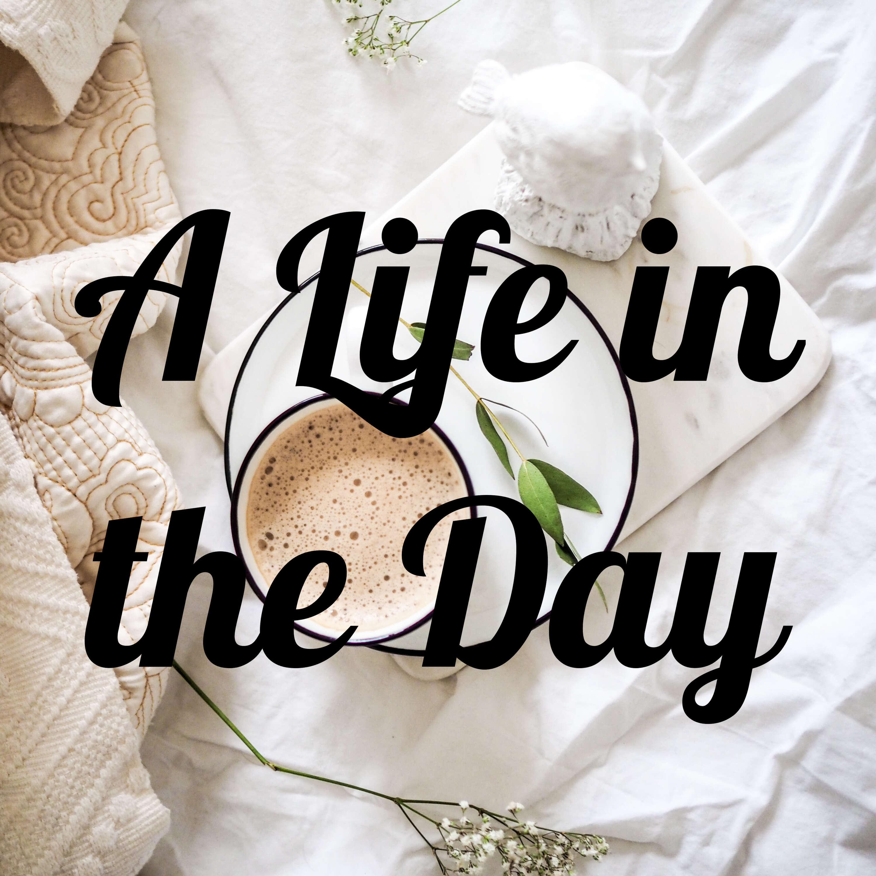 A Life In The Day