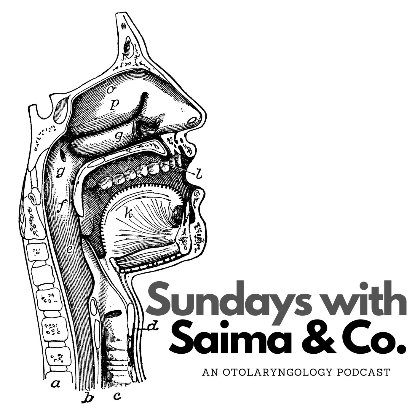 Sundays with Saima & Co.