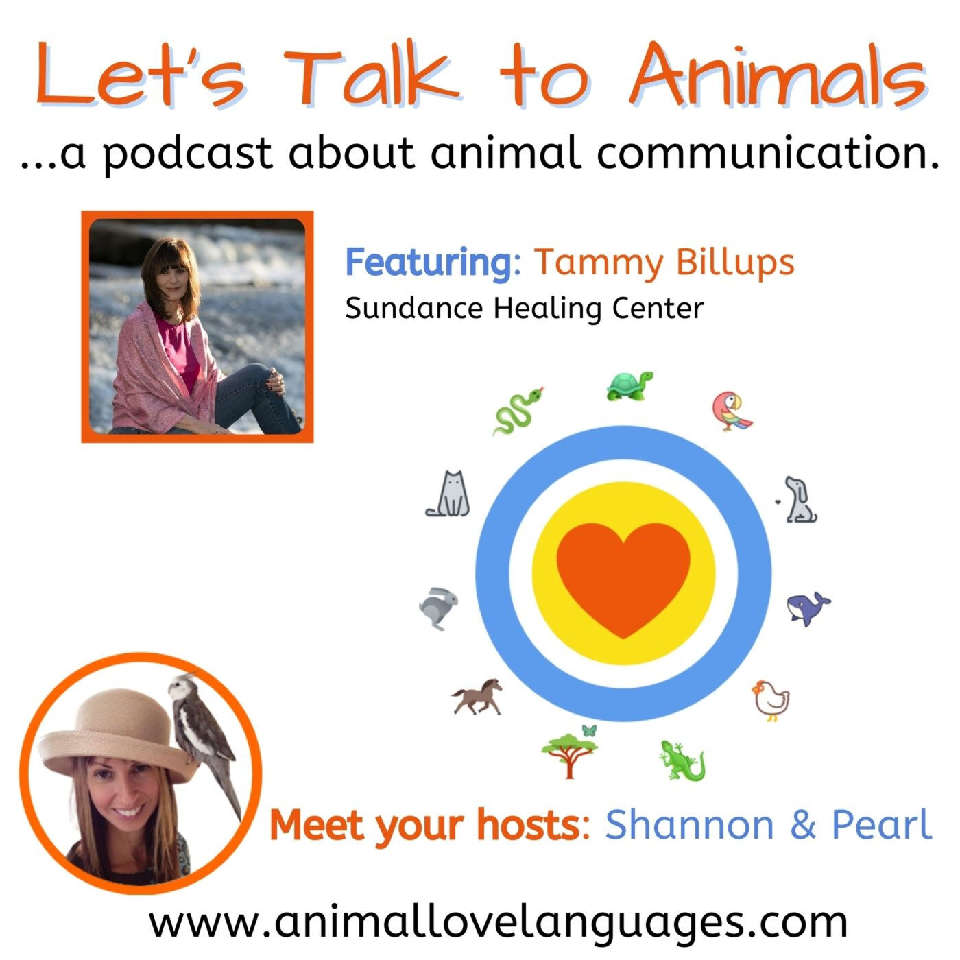 Let\'s Talk to Animals