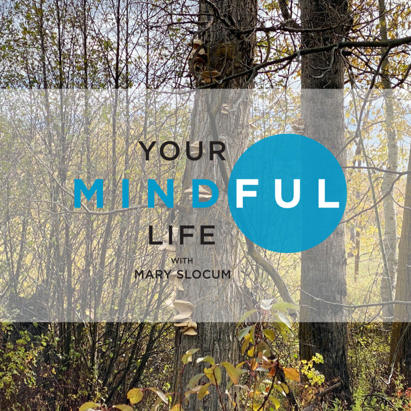 Your Mindful Life