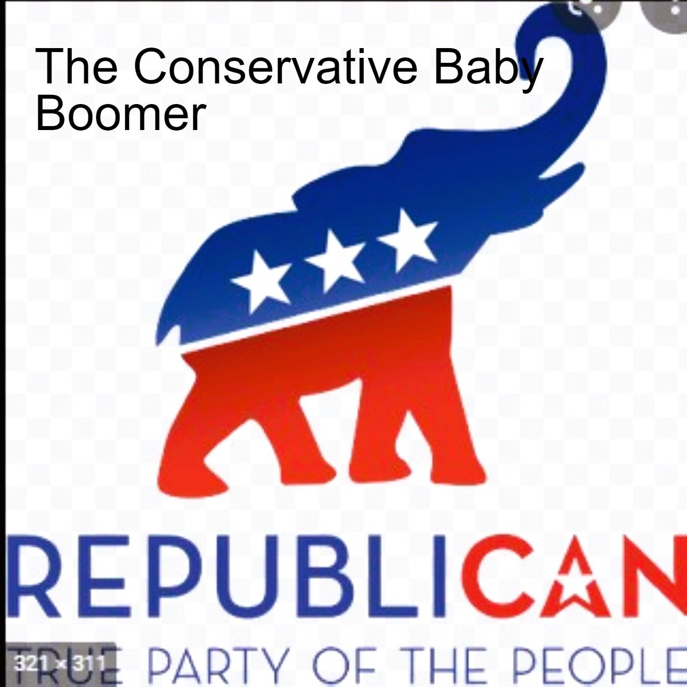 The Conservative Baby Boomer