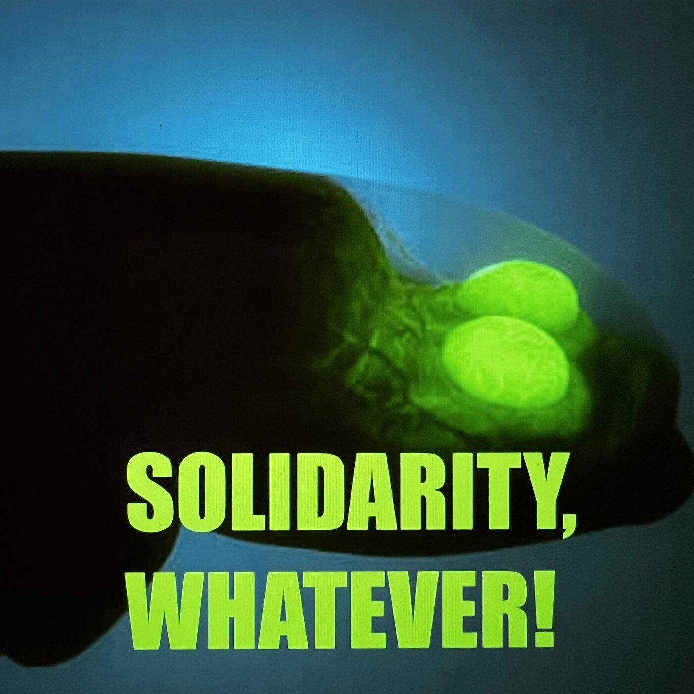 Solidarity, Whatever!