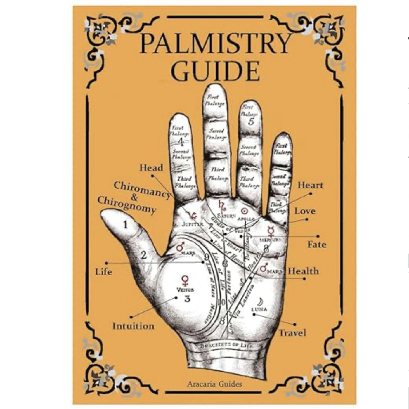 Thursday, March 14, 2024 - Happy π Day, or if the former was Greek to you, Happy 🥧 Day!