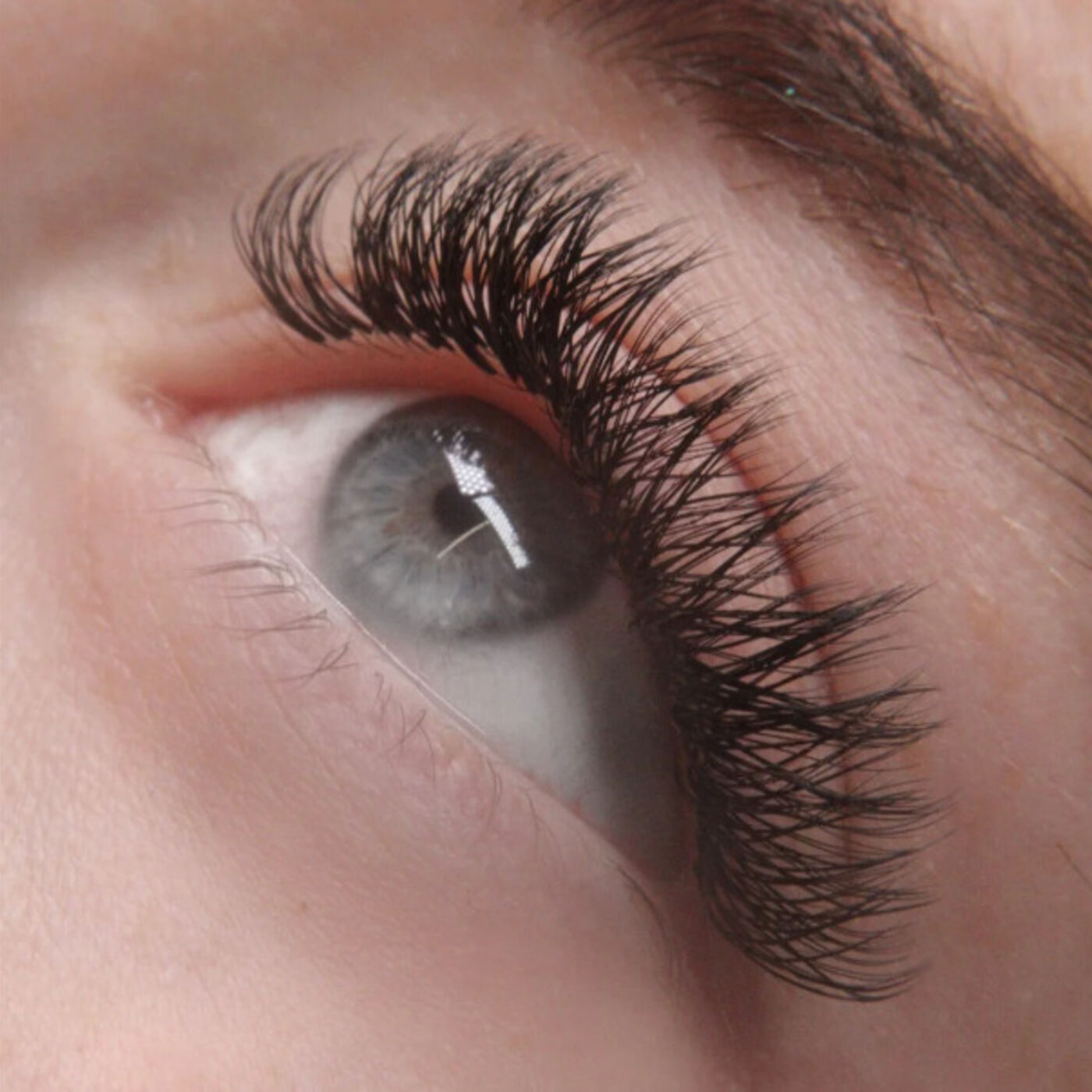 Lashes Guide Podcast's