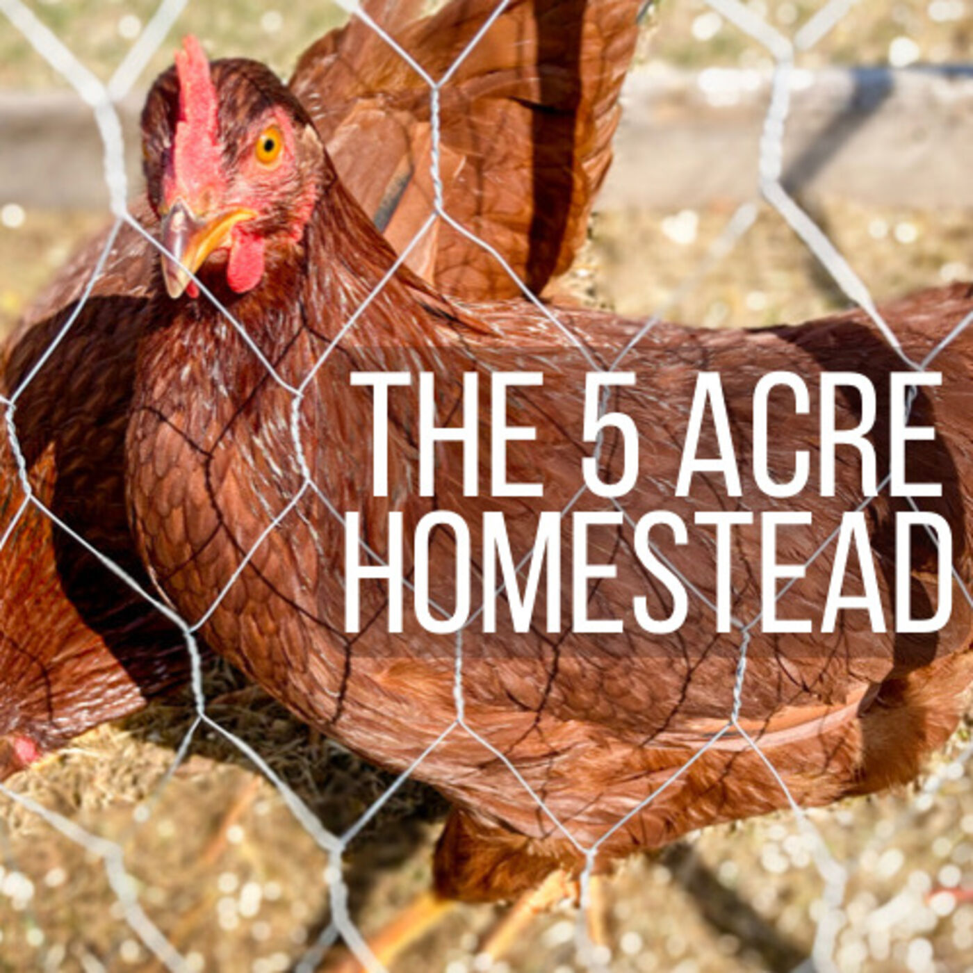 The 5 Acre Homestead