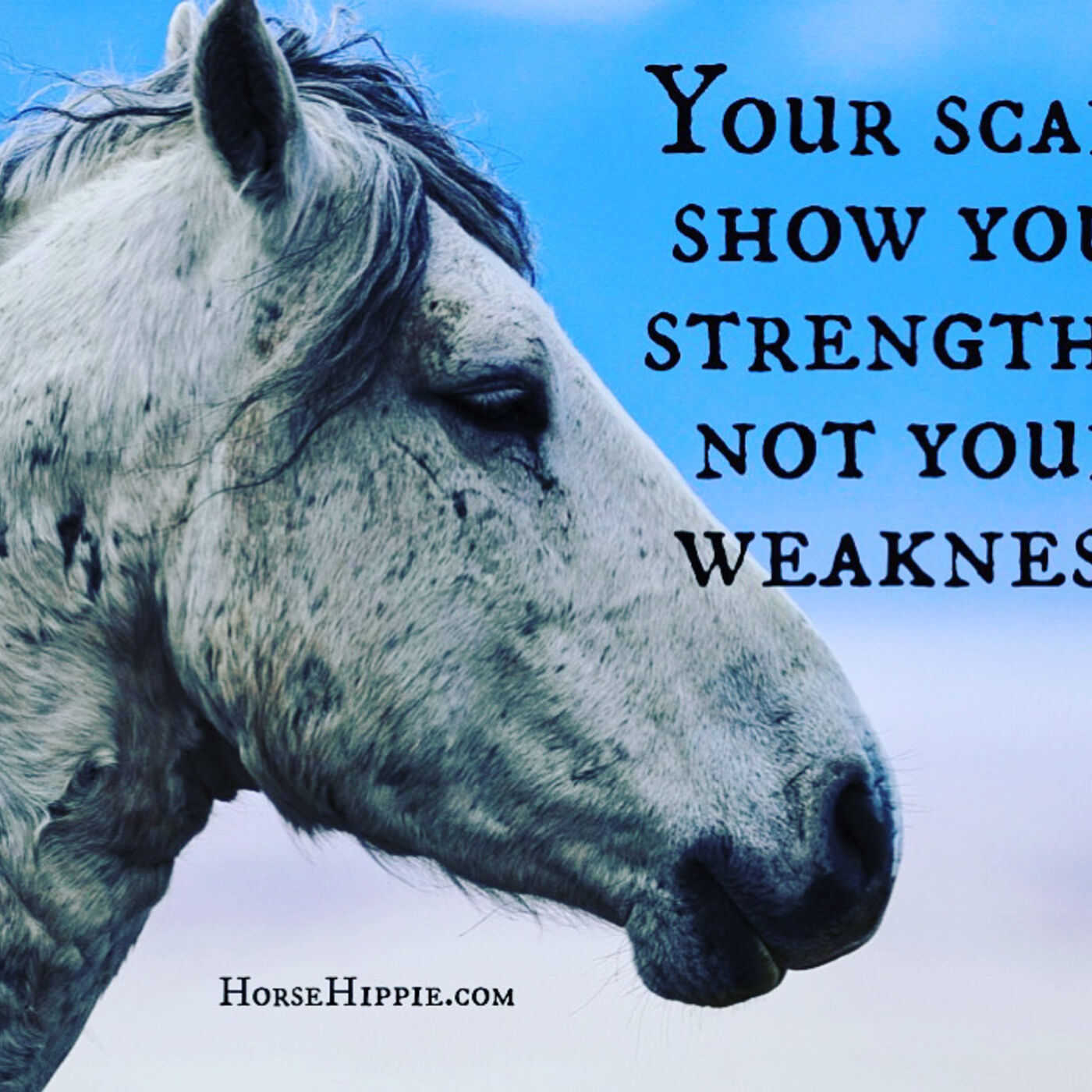 Your Scars