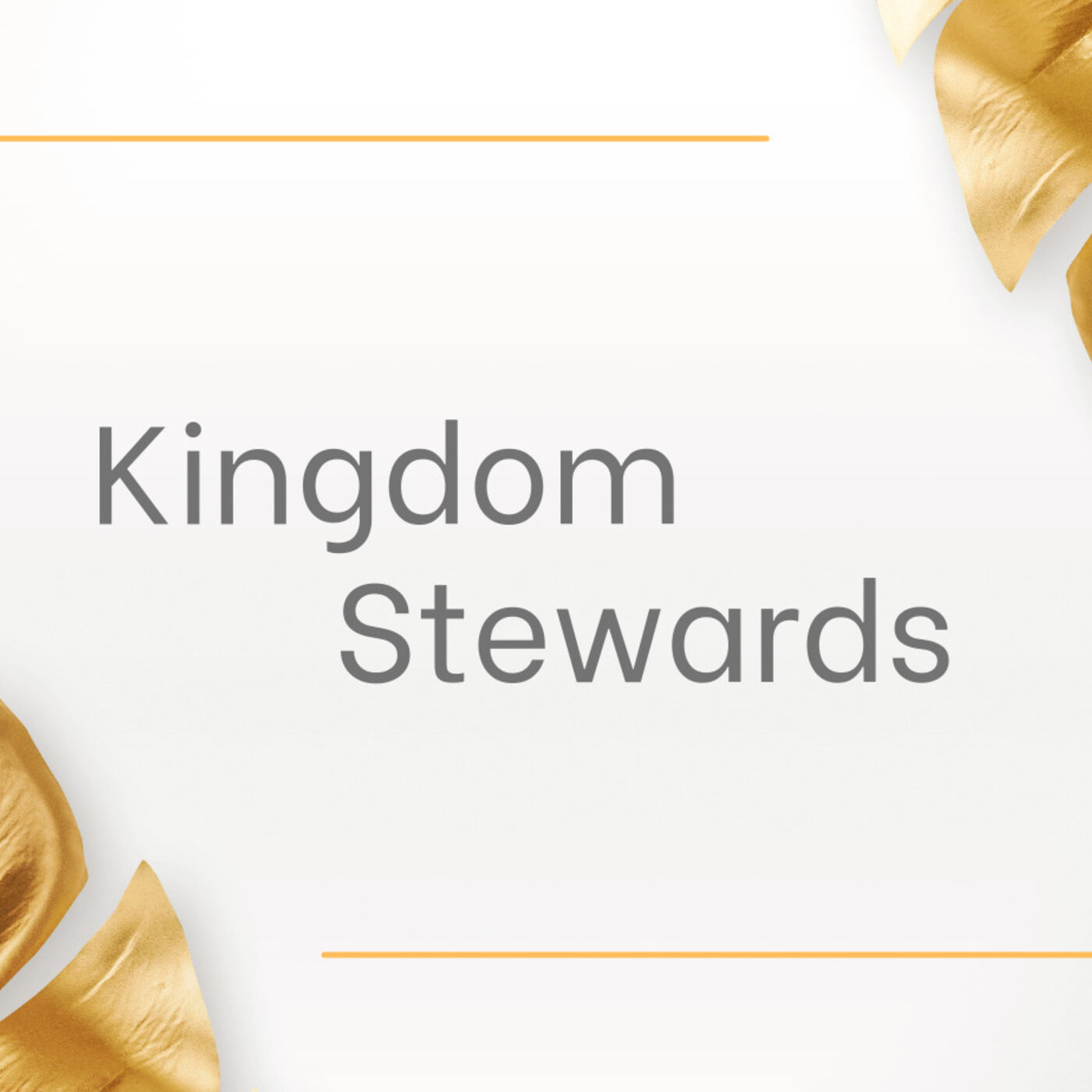 Kingdom Stewards