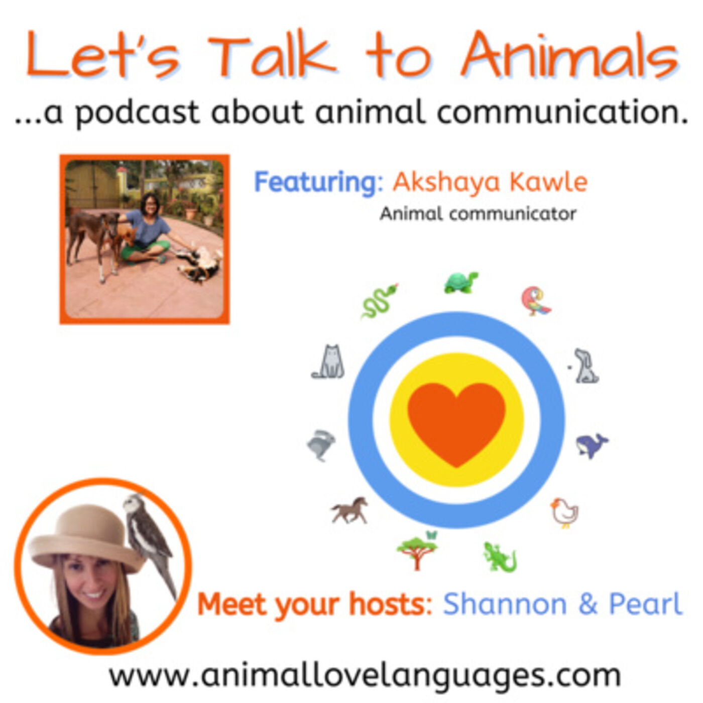 Let\'s Talk to Animals