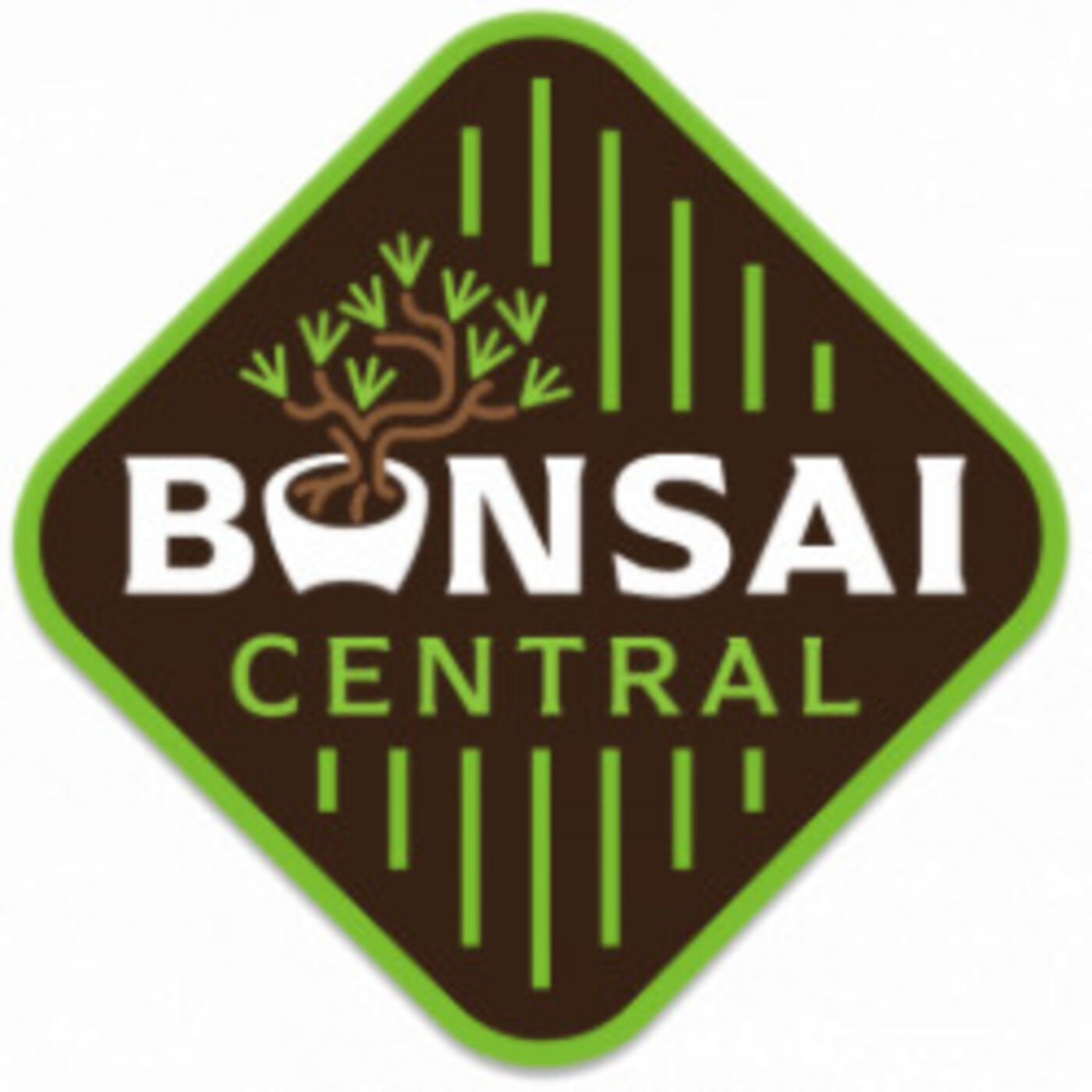 Bonsai Central How to run a bonsai convention Bonsai Wire Podcast