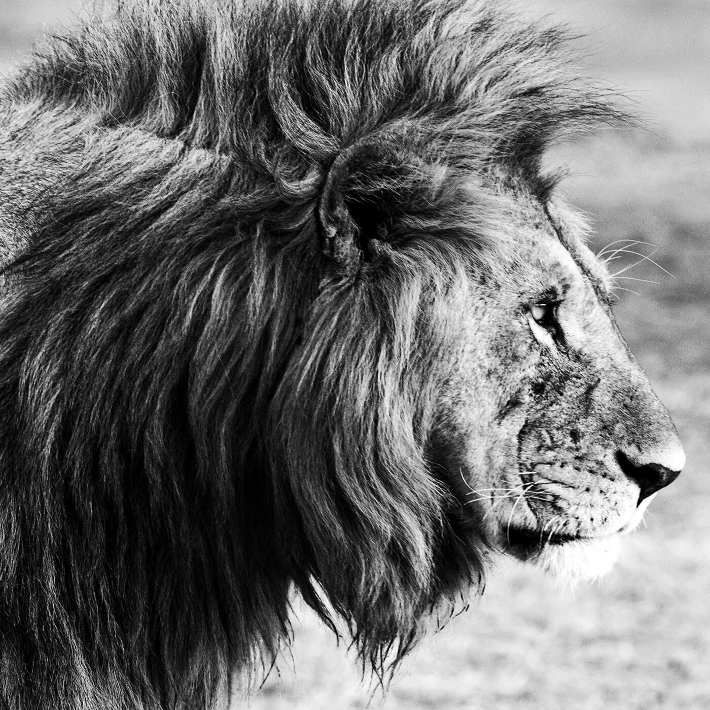 How to Measure and Manage Risk