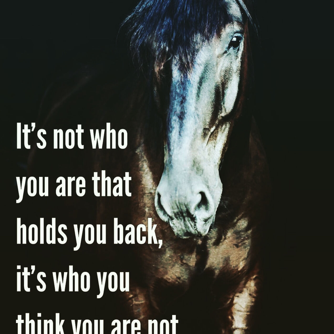 Who You Think You Are