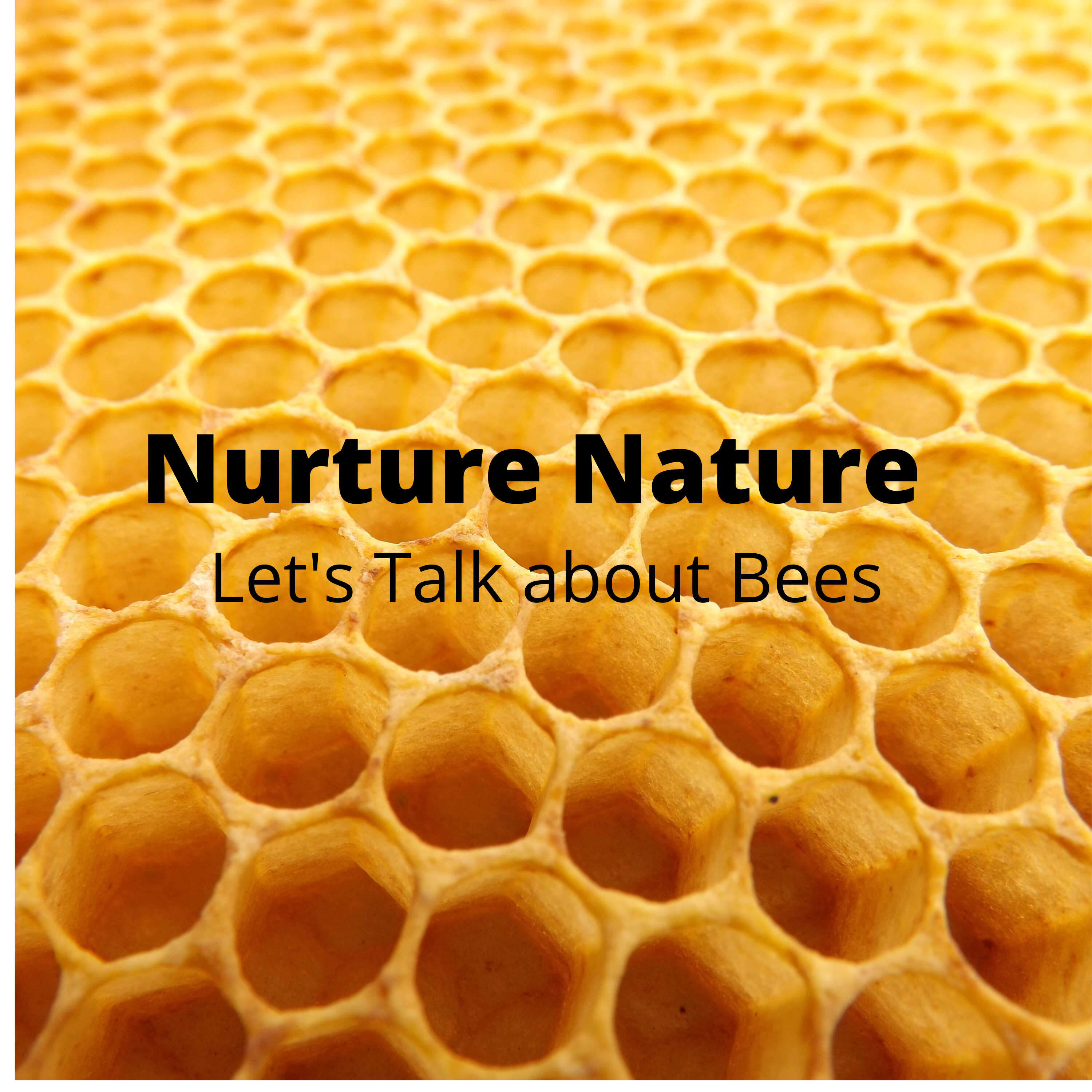 Nurture Nature