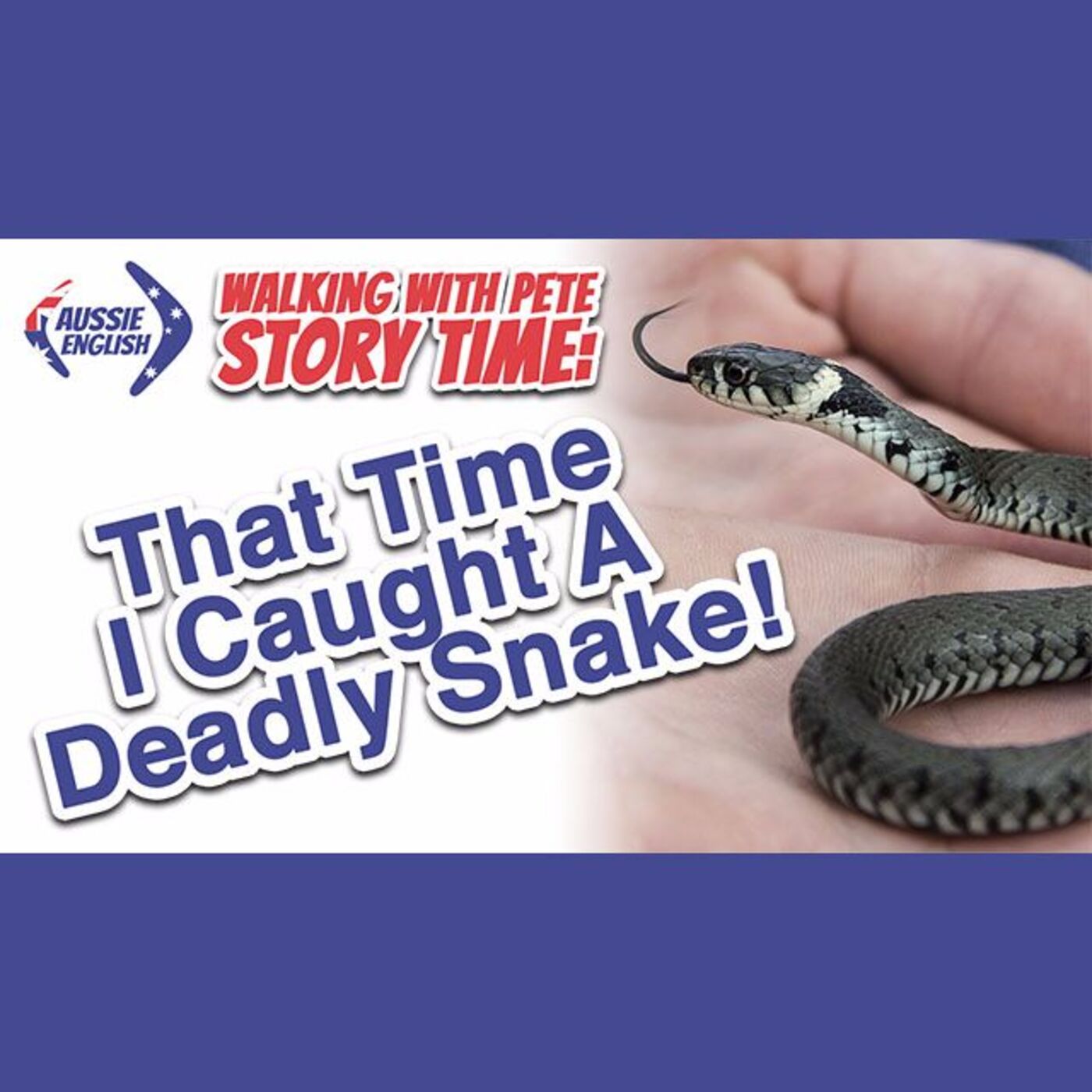 AE 363 - WWP Story Time: That Time I Caught A Deadly Snake