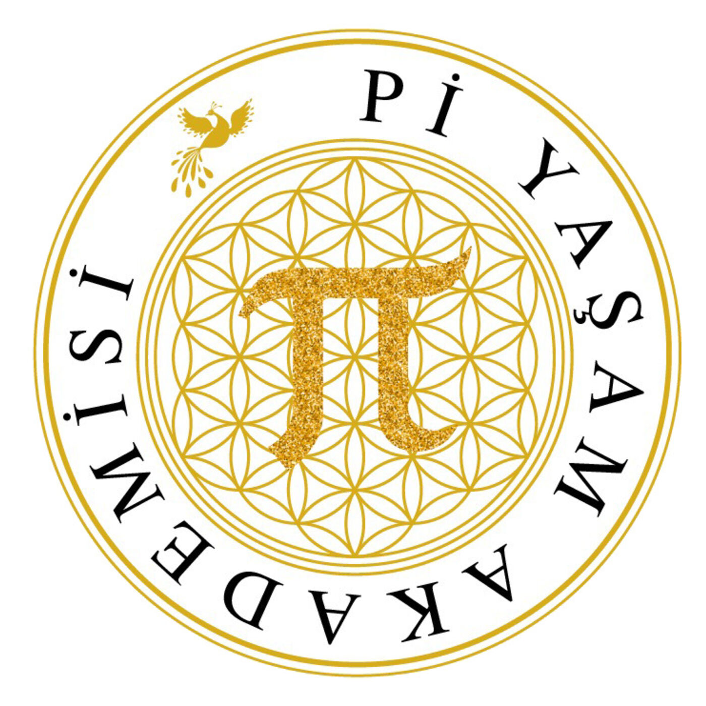 Pi Yasam Akademisi Podcast