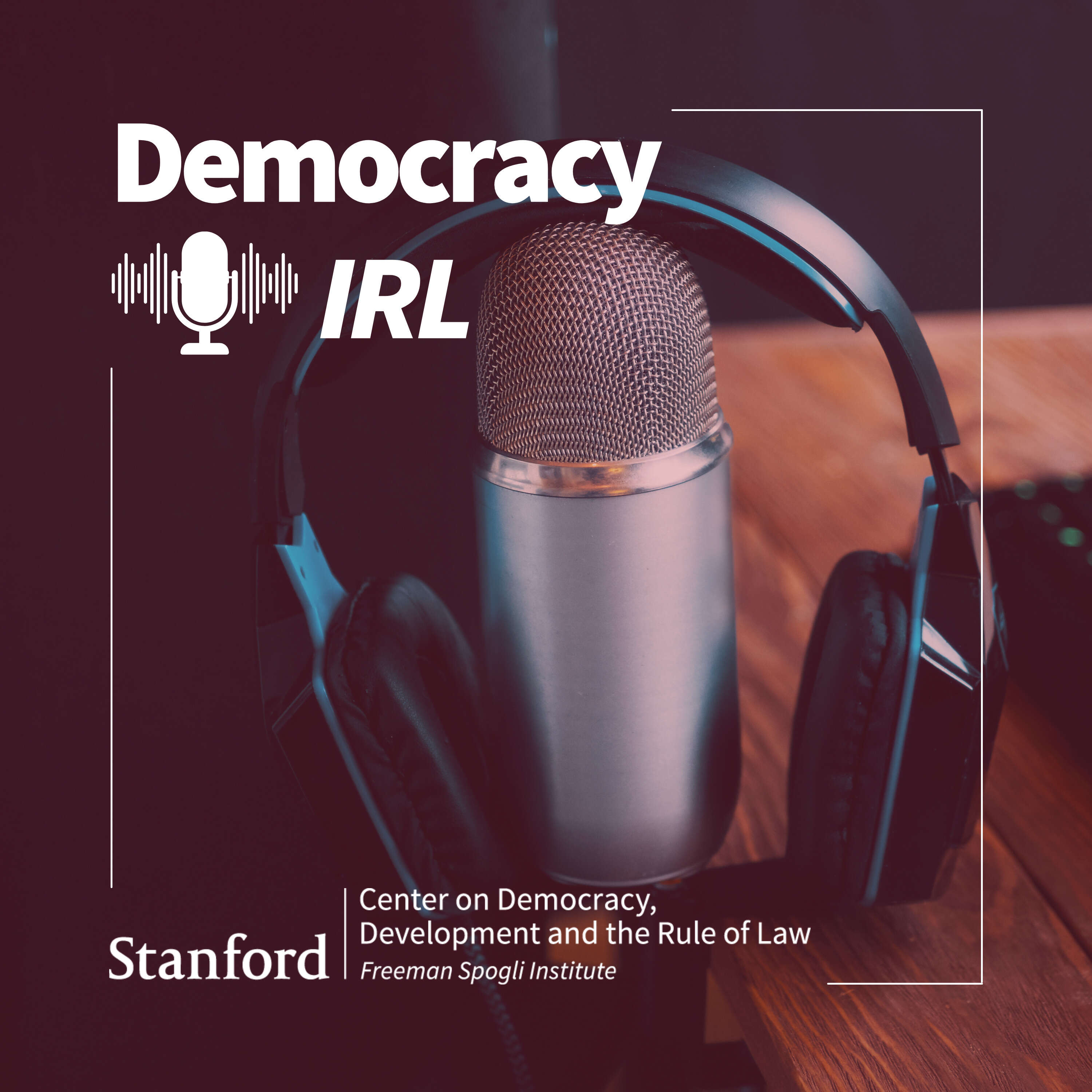 Democracy IRL podcast