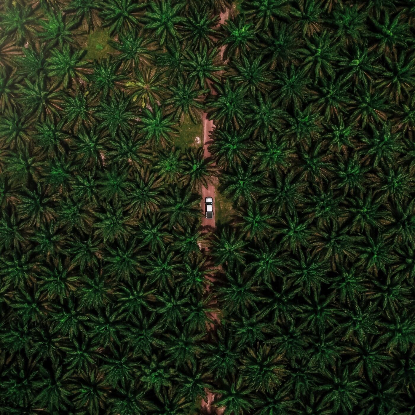 The Biome Podcast