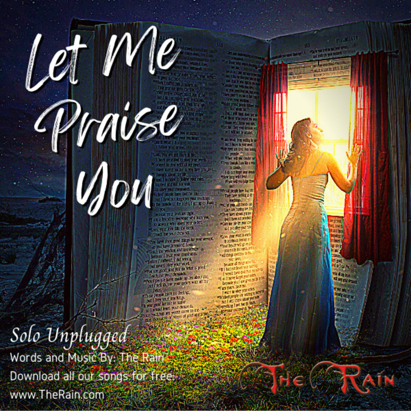 Let Me Praise You - Unplugged Solo
