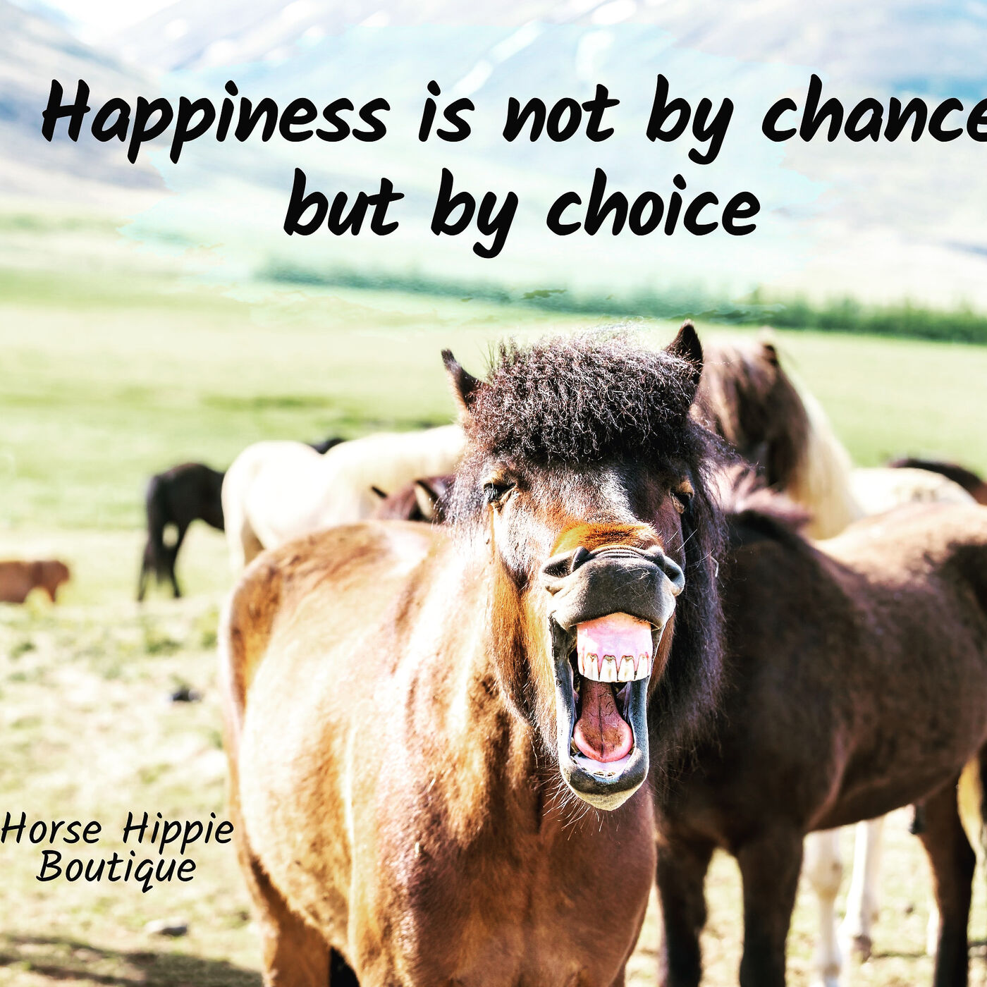 Pursuit of Happiness